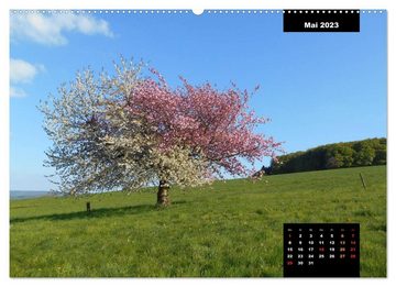 CALVENDO Wandkalender Odenwald Emotionen (Premium, hochwertiger DIN A2 Wandkalender 2023, Kunstdruck in Hochglanz)