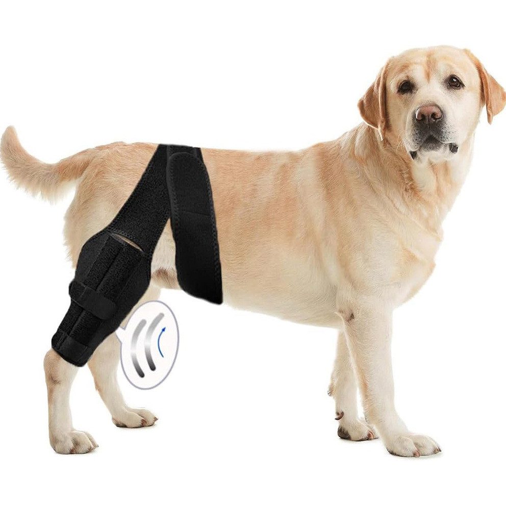 Refttenw Kniebandage Verstellbare Hundekniestütze Bei Rissen Des Vorderen Kreuzbandes, mit Klettverschluss