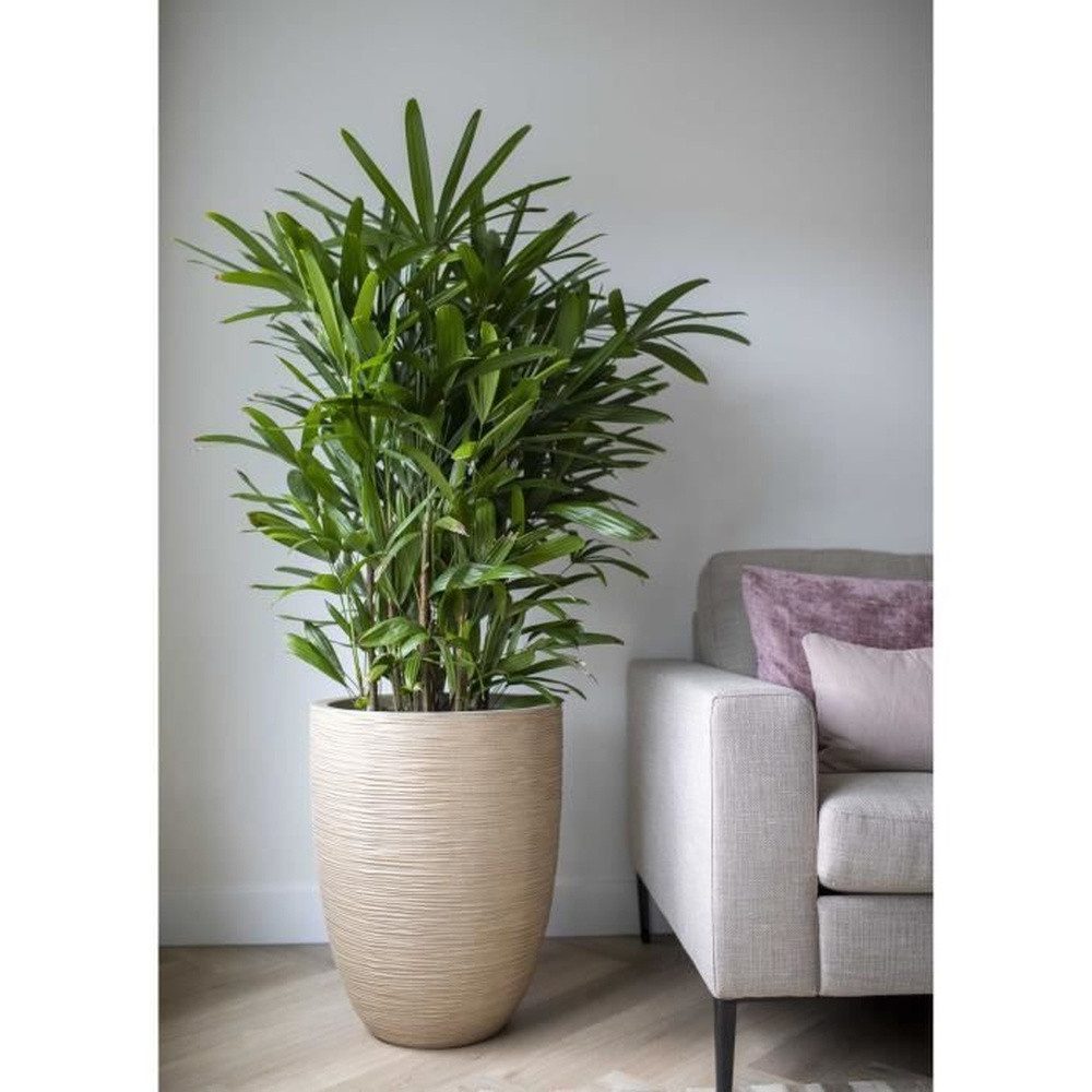 Capi Pflanzschale Elegante, niedrige Vase - CAPI EUROPE - WASTE RIB NL - 46 x 58 cm