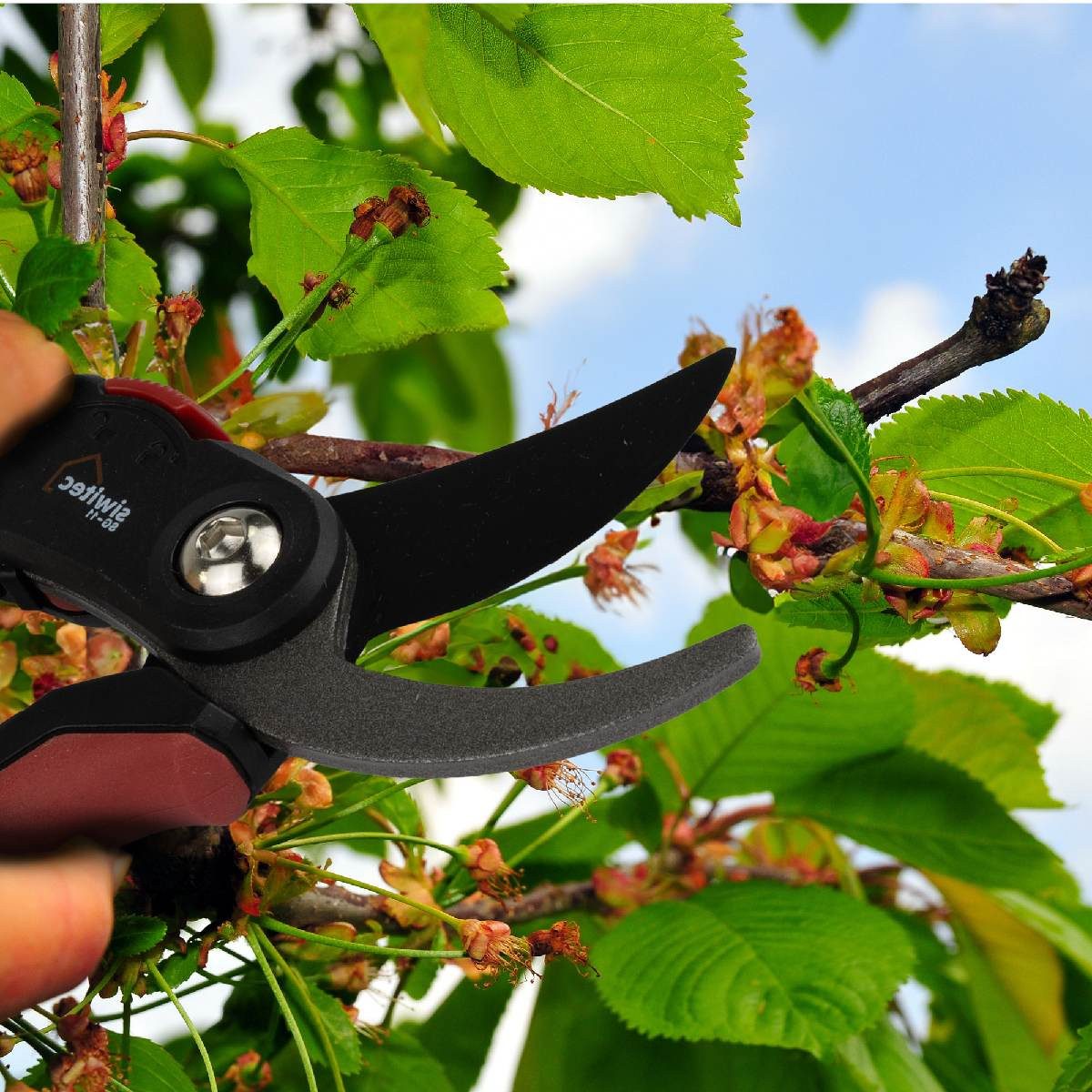 siwitec Gartenschere Bypass-Gartenschere SG-11 für frisches, günstig online kaufen