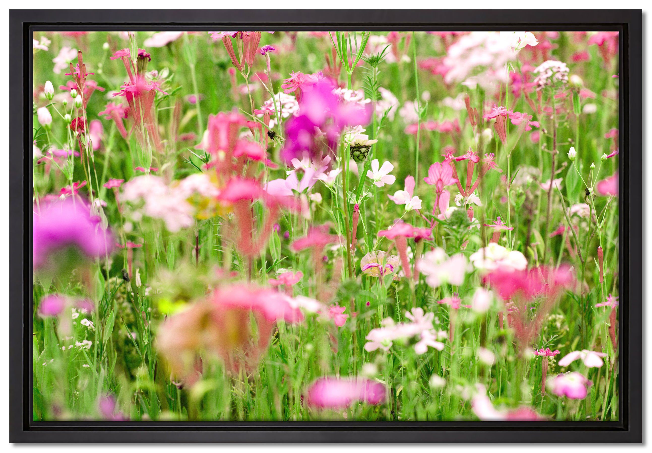 Pixxprint Leinwandbild Wundervolle Blumenwiese, Wanddekoration (1 St), Leinwandbild fertig bespannt, in einem Schattenfugen-Bilderrahmen gefasst, inkl. Zackenaufhänger