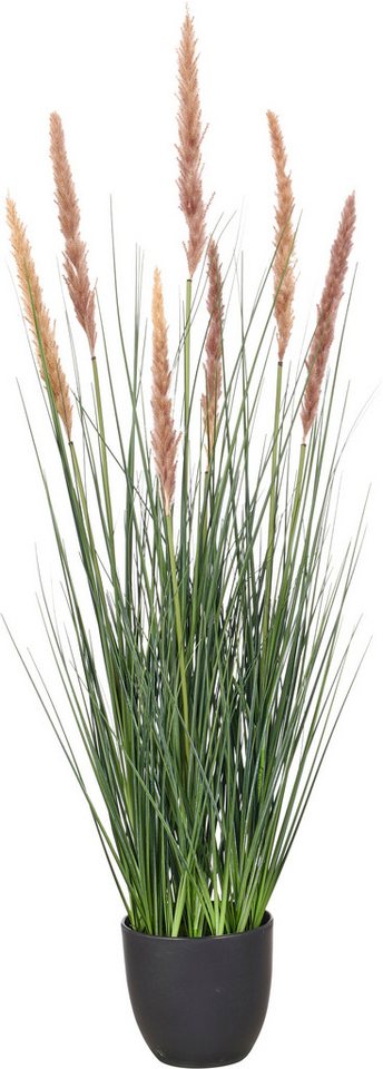 Kunstgras Grasbusch Cortaderia selloana, Creativ green, Höhe 95 cm, mit Naturwedeln
