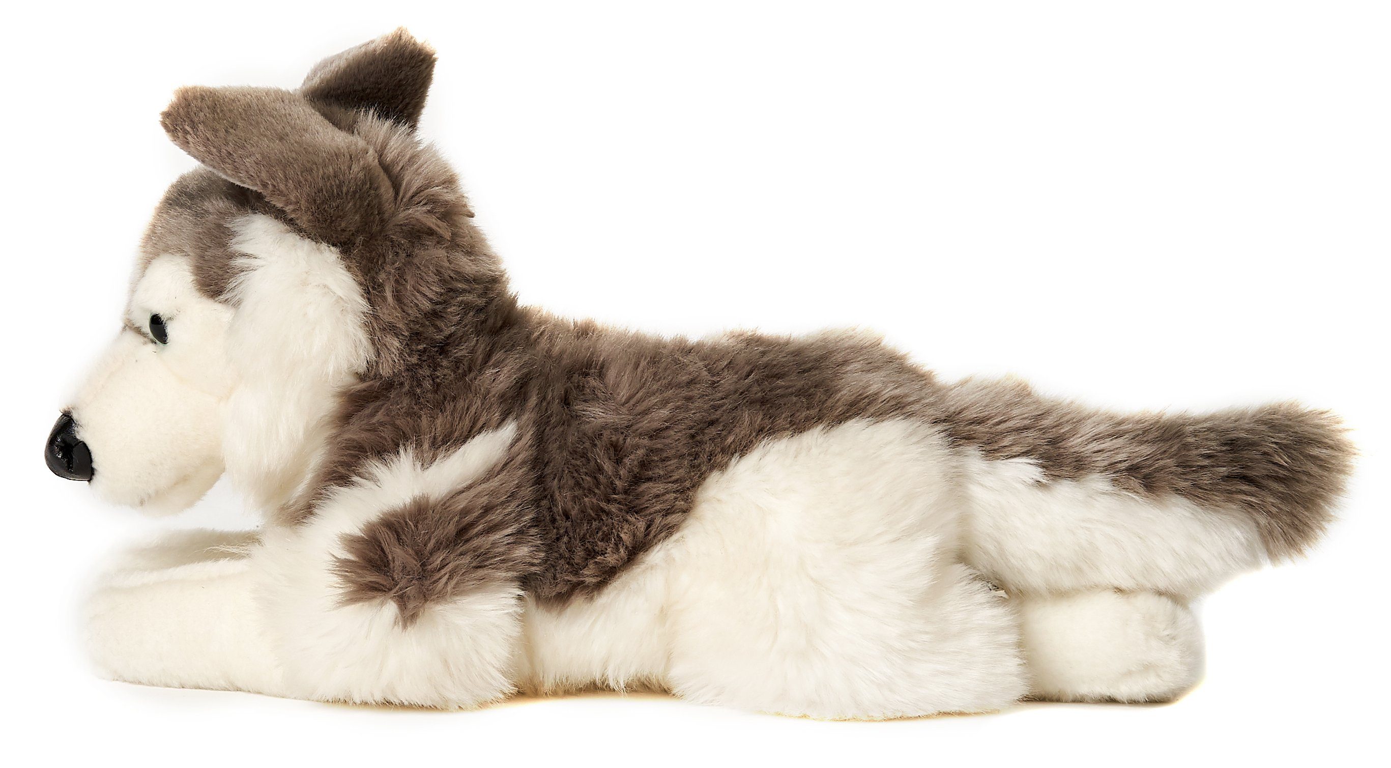 Plüsch-Hund Husky, Füllmaterial Plüschtier, - - Uni-Toys 40 liegend zu recyceltes - (Länge) cm Kuscheltier % 100