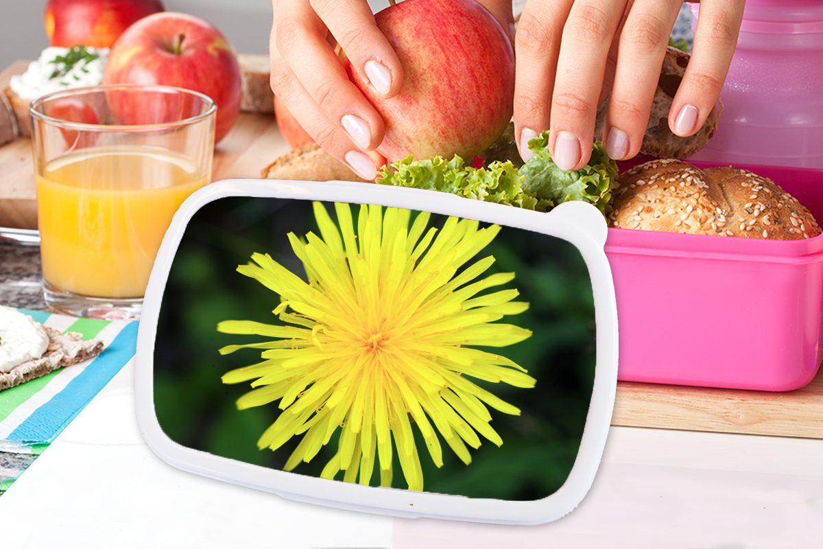 MuchoWow Lunchbox Makro - Sonnenblume Mädchen, Brotdose (2-tlg), Erwachsene, Kunststoff, rosa Brotbox Gelb, Kunststoff - für Kinder, Snackbox