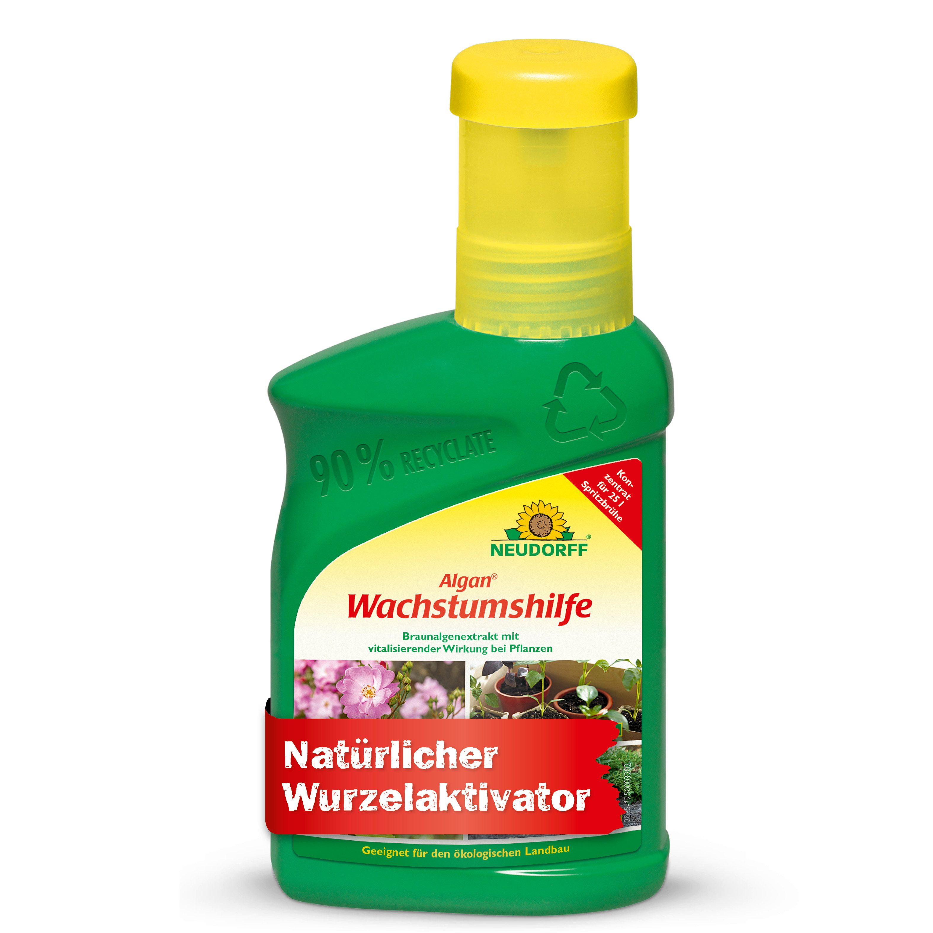 Neudorff Pflanzenstärkungsmittel Algan Wachstumshilfe 250 ml, natürlicher Wurzelaktivator, gewonnen durch milden, Extraktionsprozess aus der Braunalge Ascophyllum Nodosum, Wachstumsstimulator mit Braunalgenextrakt für kräftige Pflanzen