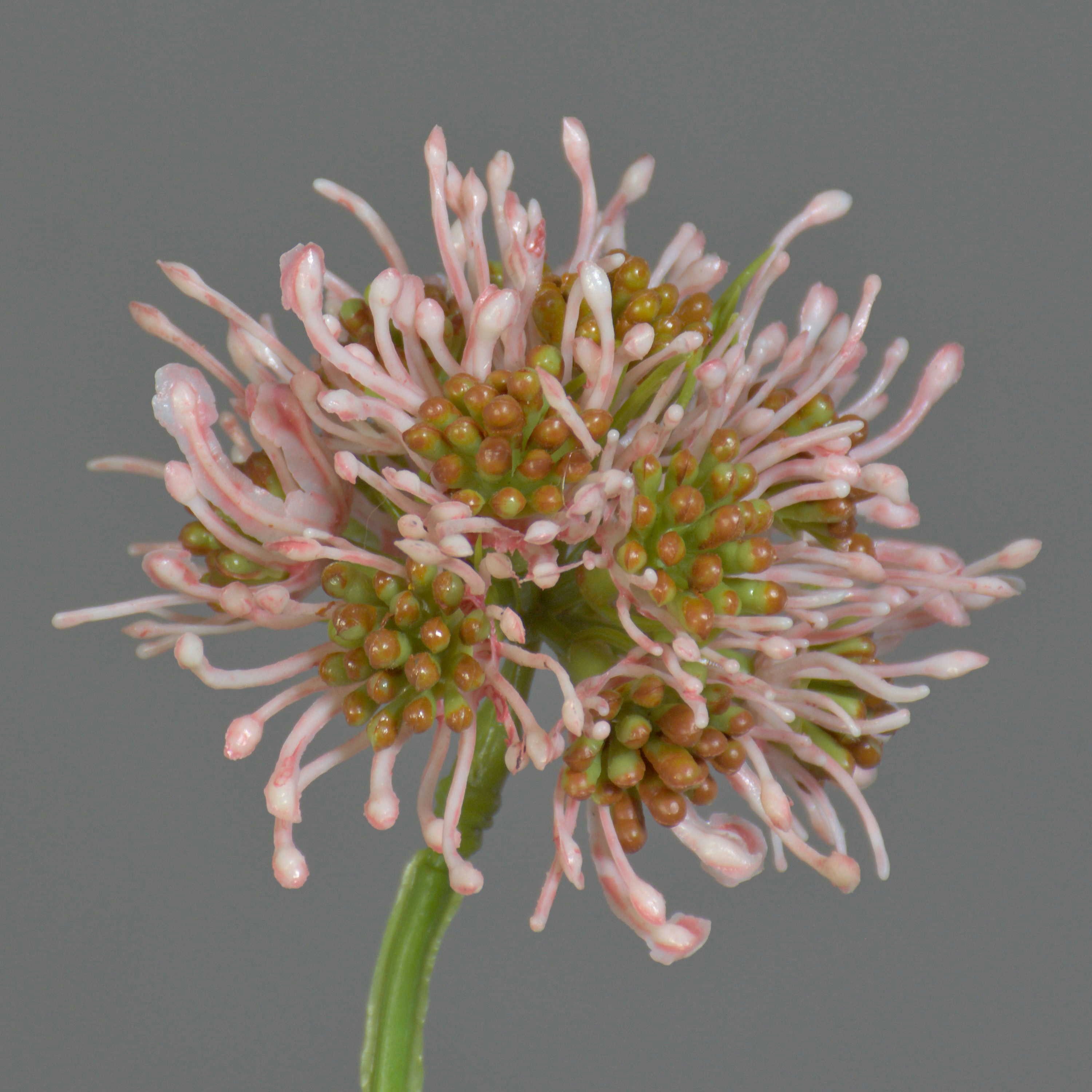 Kunstzweig Kunstblumen Zweig Allium Zebu, rosa, 65cm, Ø6cm Allium, artplants, Höhe 65.0 cm