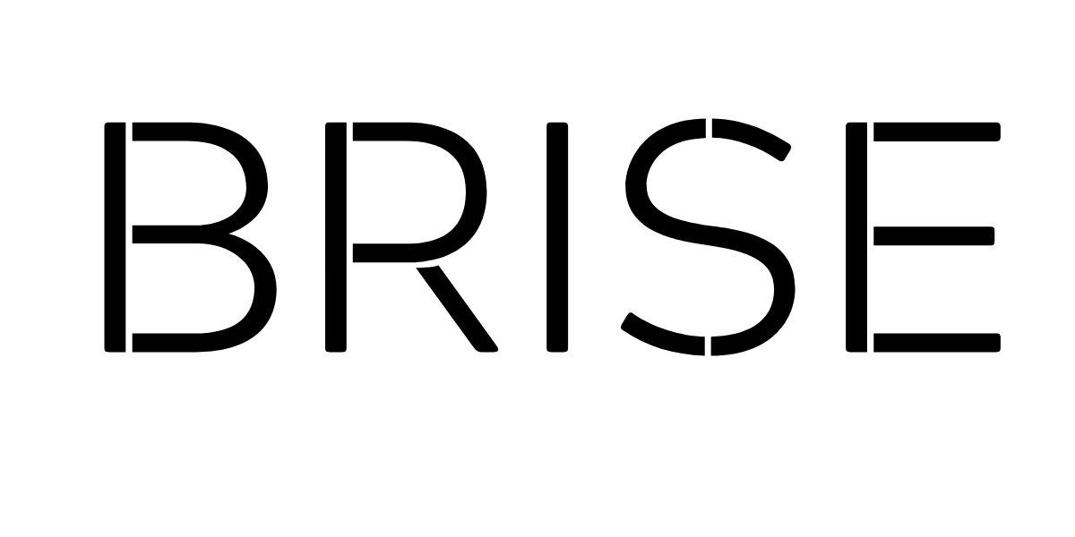 BRISE TASCHE