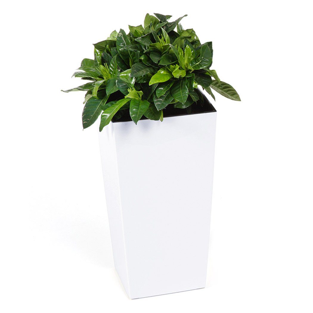 KAGM Pflanzkübel Blumenkübel Blumentopf in Hochglanz mit Pflanzeinsatz (inkl. Pflanzeinsatz)