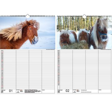 Seelenzauber Wandkalender Wandplaner Familienplaner 4 Spalten - Ponyzauber DIN A3 Kalender für