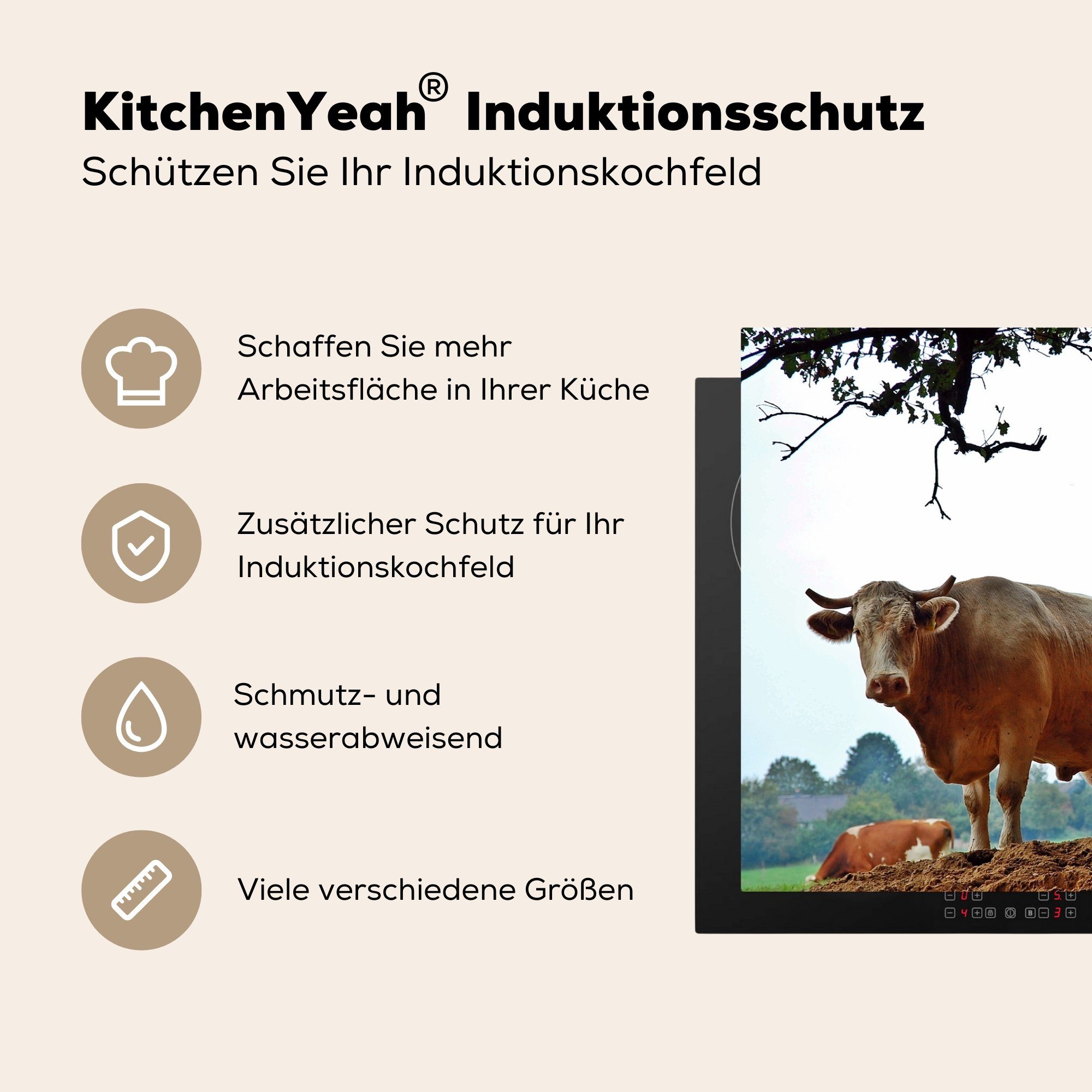 die für MuchoWow küche, Induktionskochfeld - Bauernhof Herdblende-/Abdeckplatte (1 81x52 Ceranfeldabdeckung Schutz tlg), Kühe Friesland, Vinyl, - cm,