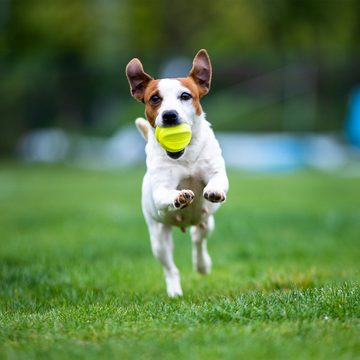 Skipdawg Tierball Hunde-Ball Agility Ball, unerwartete Sprung- und Rollwege