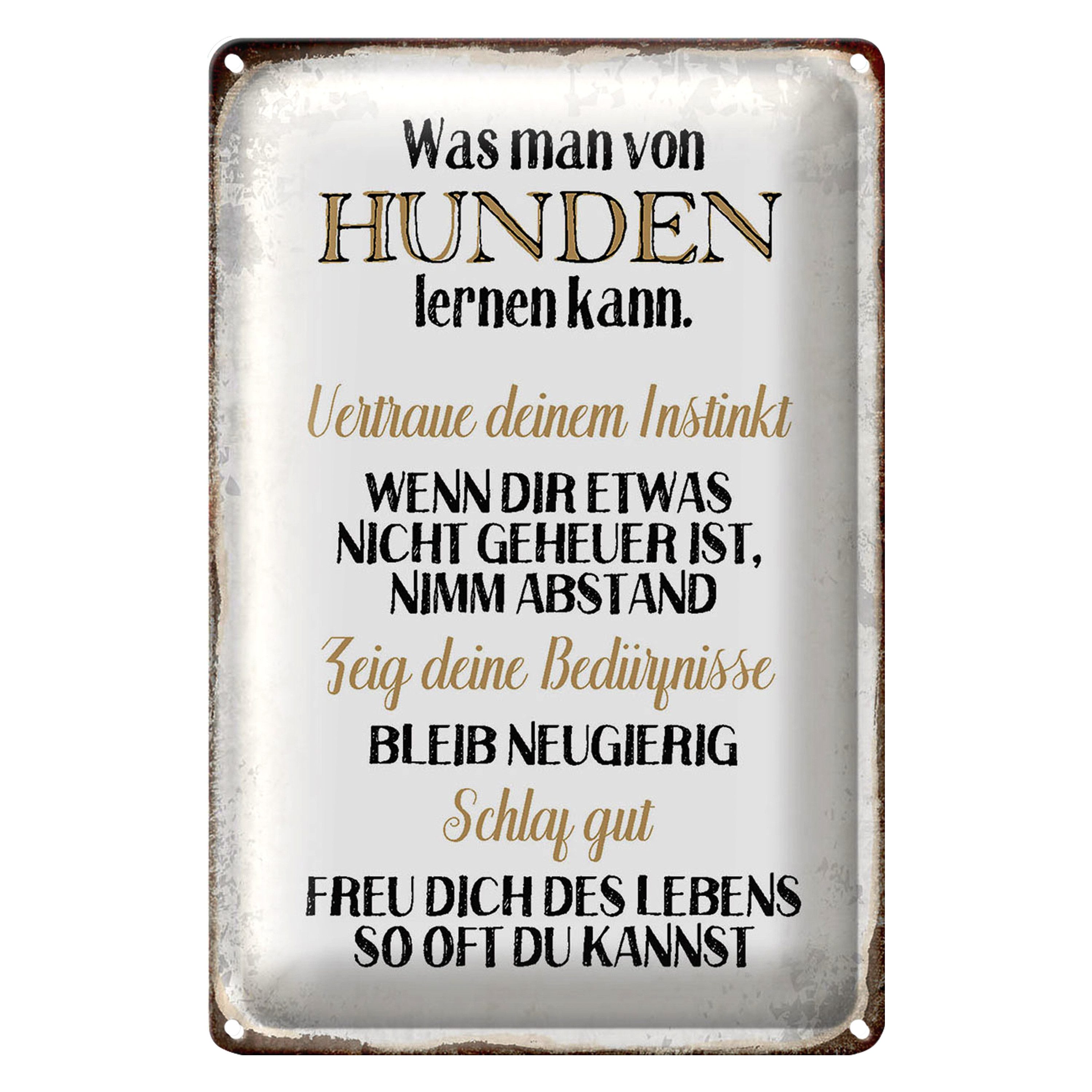 Metallschild Spruch 12x18cm was man von Hunden lernen kann