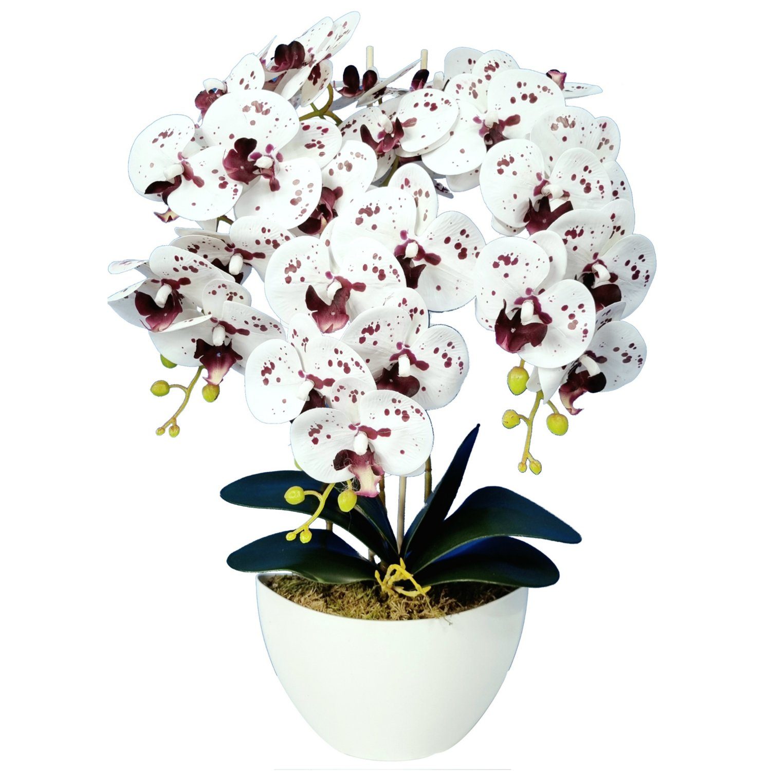 Kunstorchidee Orchidee, damich, Höhe 60 cm, Künstliche Orchidee im Blumentopf