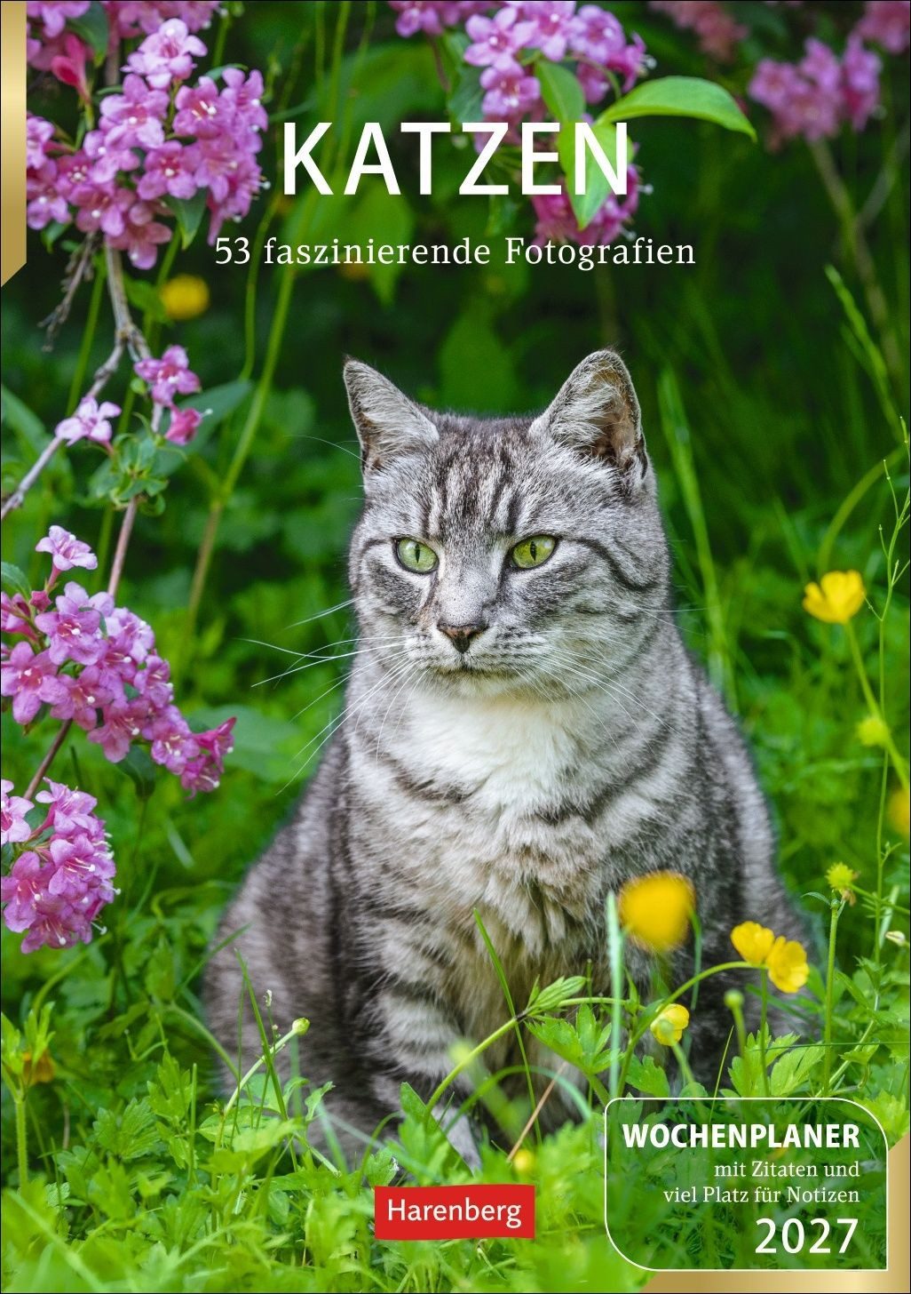 Wandkalender Katzen Wochenplaner 2027 - 53 faszinierende Fotografien