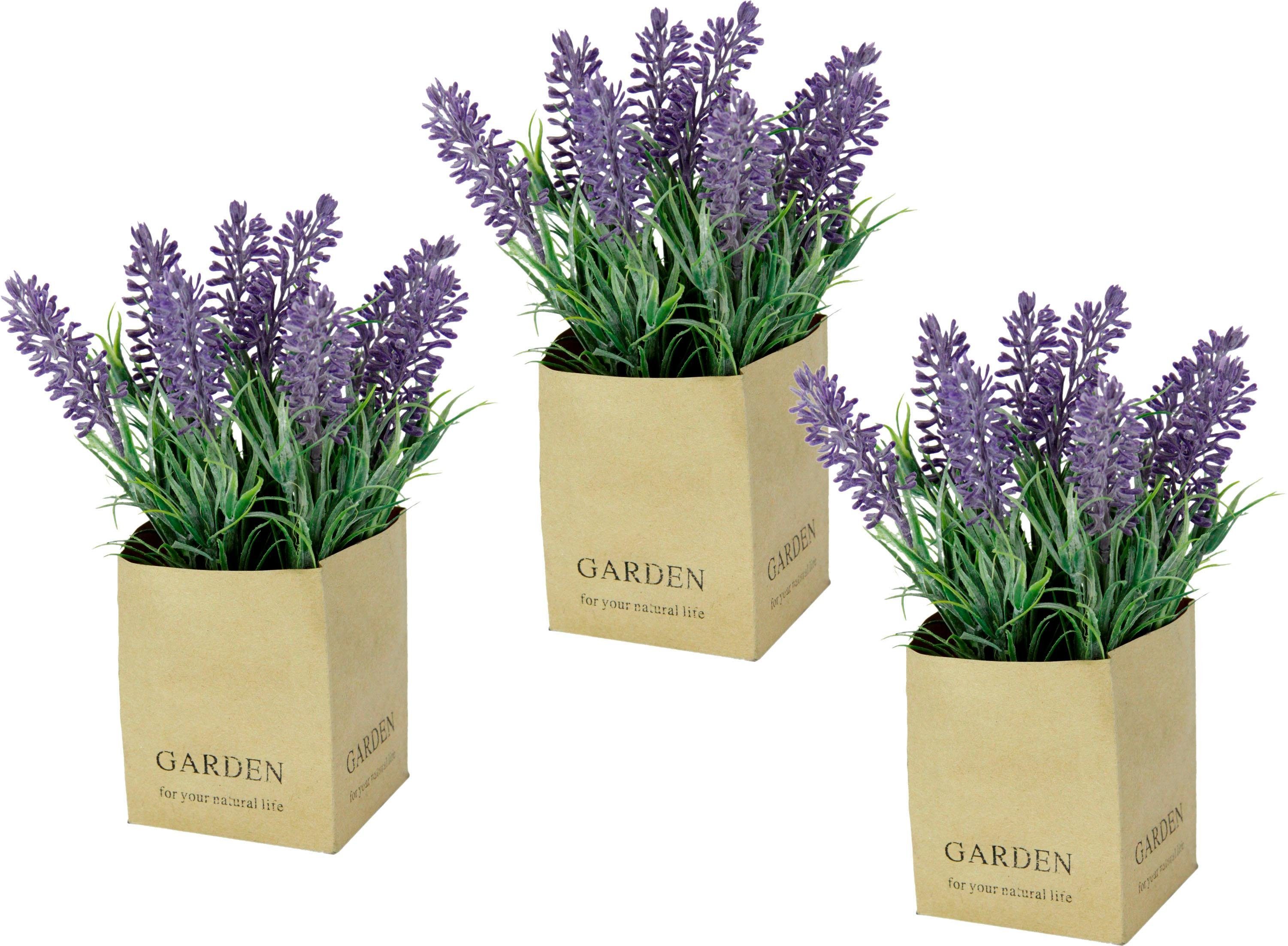 Kunstblume Lavendel, I.GE.A., Höhe 20 cm, im Topf
