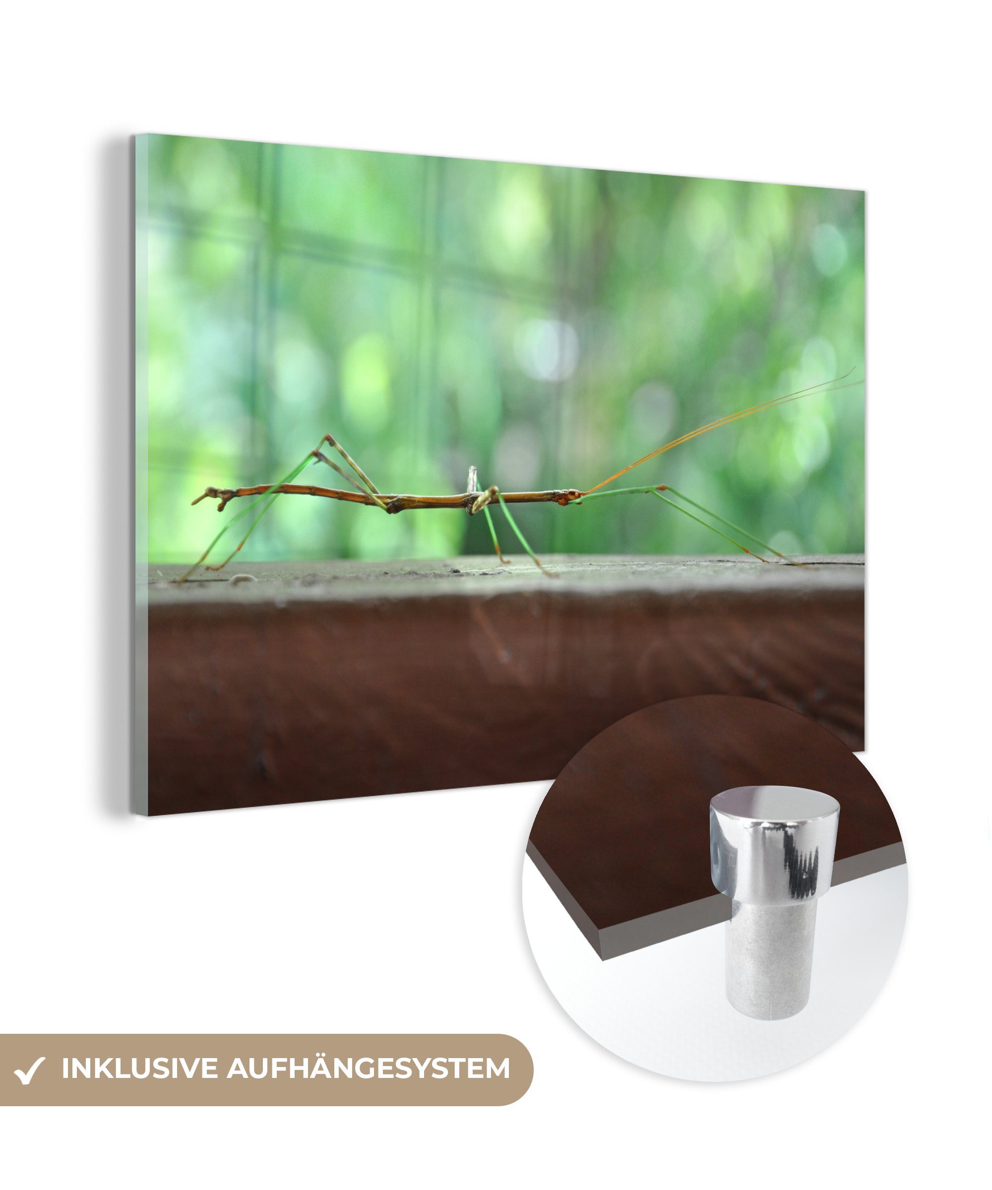 MuchoWow Acrylglasbild Ein wandelnder Ast auf einem Holztisch, (1 St), Acrylglasbilder Wohnzimmer & Schlafzimmer