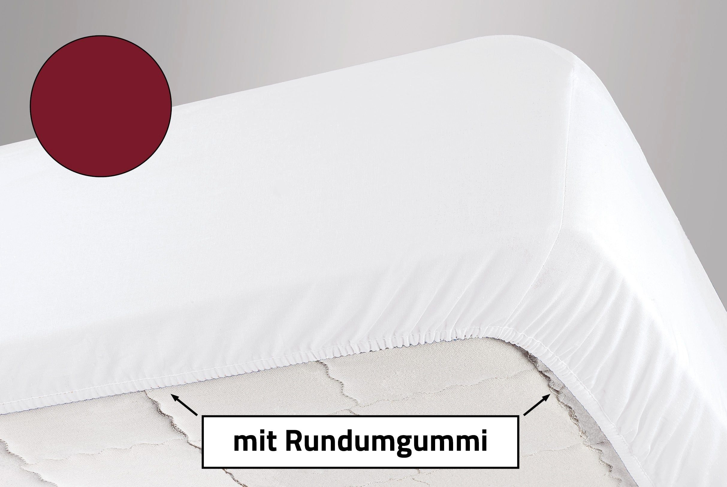 Dormisette Spannbettlaken Premium aus Baumwolle, Gummizug: rundum, (1 Stück), Überlänge bis 220 cm geeignet