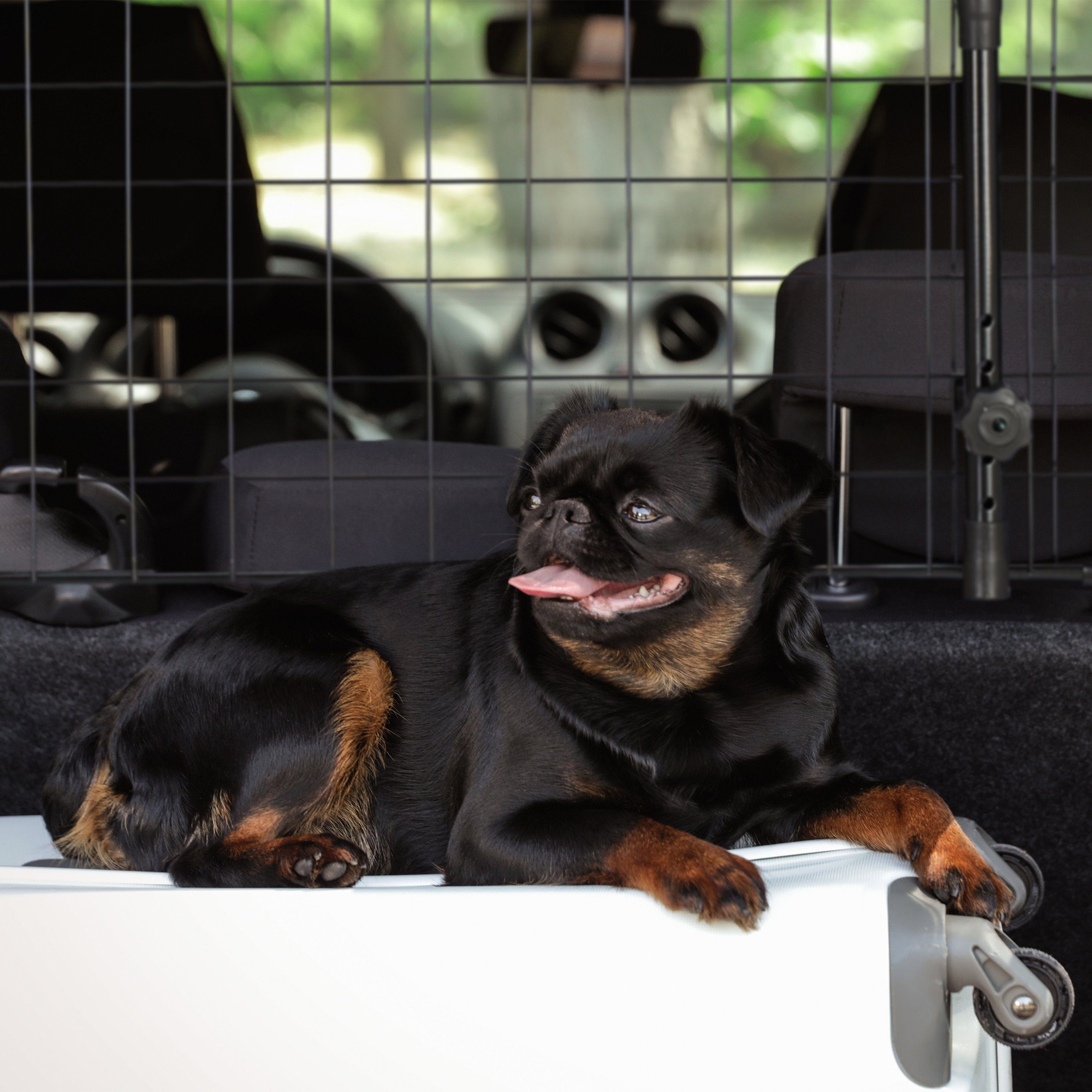 relaxdays Trenngitter Hundegitter Auto Universal – Bild 3 von 5