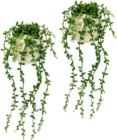 Kunstpflanze Senecio im Topf 2er Set künstlich Pflanze Hängepflanze Kunstblume, I.GE.A., Höhe 40 cm, Grünhänger hängende Pflanze Grünpflanze Zimmerpflanze Dekopflanze Moos