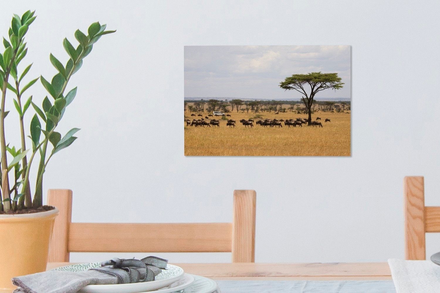 Leinwandbilder, Die OneMillionCanvasses® trockenen tansanischen Aufhängefertig, cm St), Leinwandbild Ebenen 30x20 Savanne im, Wandbild der Wanddeko, (1