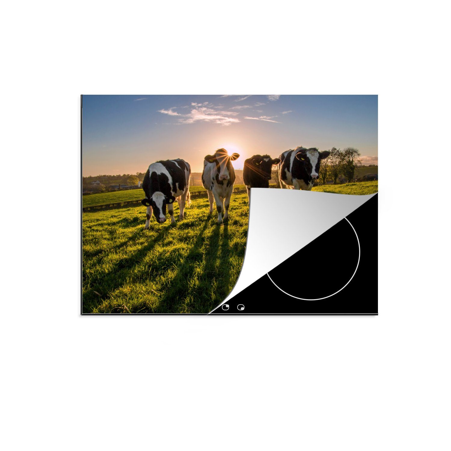 MuchoWow Herdblende-/Abdeckplatte Kuh - Gras - Sonne, Vinyl, (1 tlg), 71x52 cm, Induktionskochfeld Schutz für die küche, Ceranfeldabdeckung