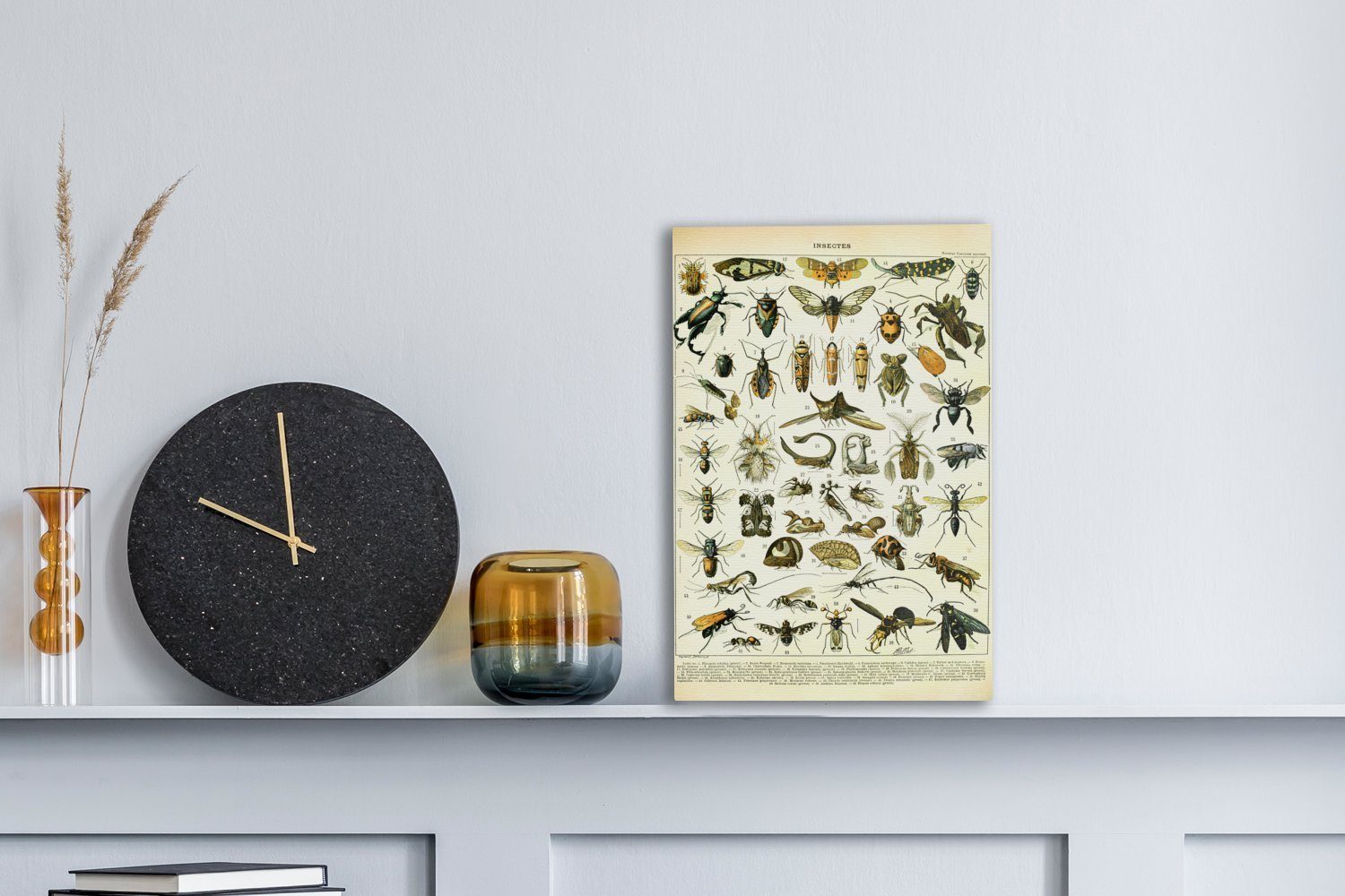 fertig Jahrgang, Gemälde, (1 bespannt Insekten inkl. Leinwandbild cm - Zackenaufhänger, 20x30 St), OneMillionCanvasses® - Leinwandbild Tiere