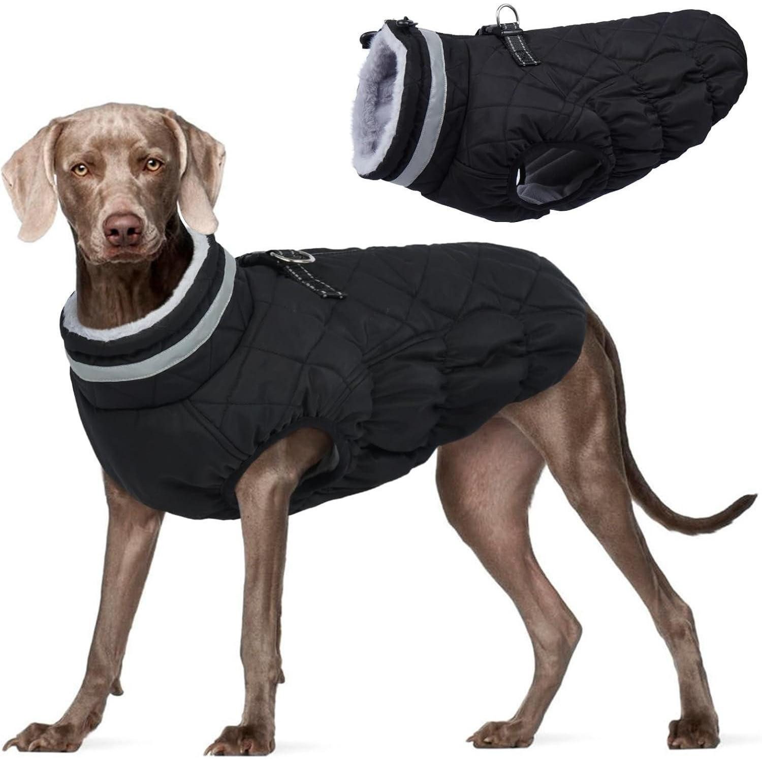 LuxusKollektion Hundemantel Hundejacke Große Hunde Winddicht Wasserdicht XL Durchgehend schwarz
