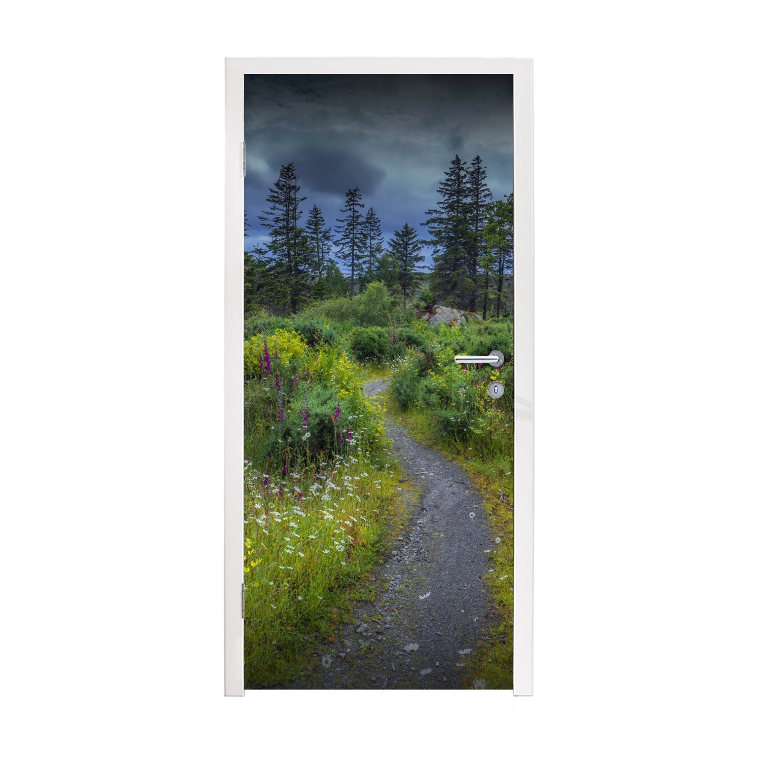 MuchoWow Türtapete Sommerwiese auf der Lewis-Insel, Matt, bedruckt, (1 St), Fototapete für Tür, Türaufkleber, 75x205 cm