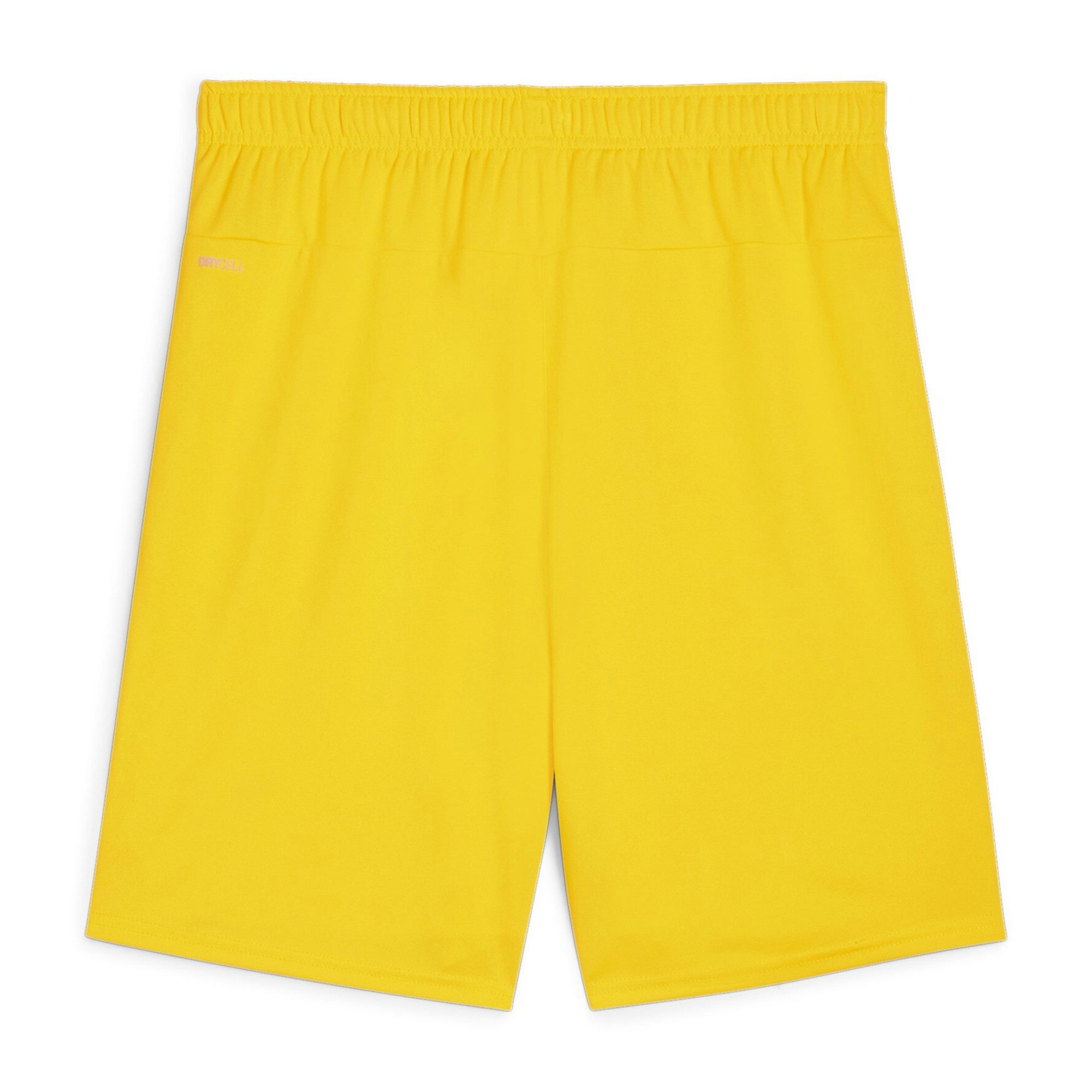 PUMA Trainingsshorts Puma Herren Short teamGOAL günstig online kaufen