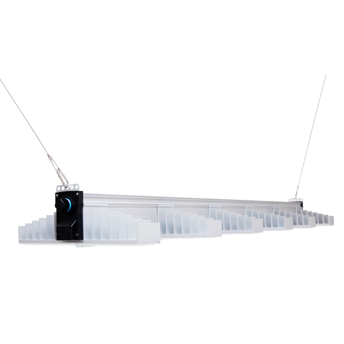 SANlight Pflanzenlampe SANlight Evo 6 1.5 günstig online kaufen