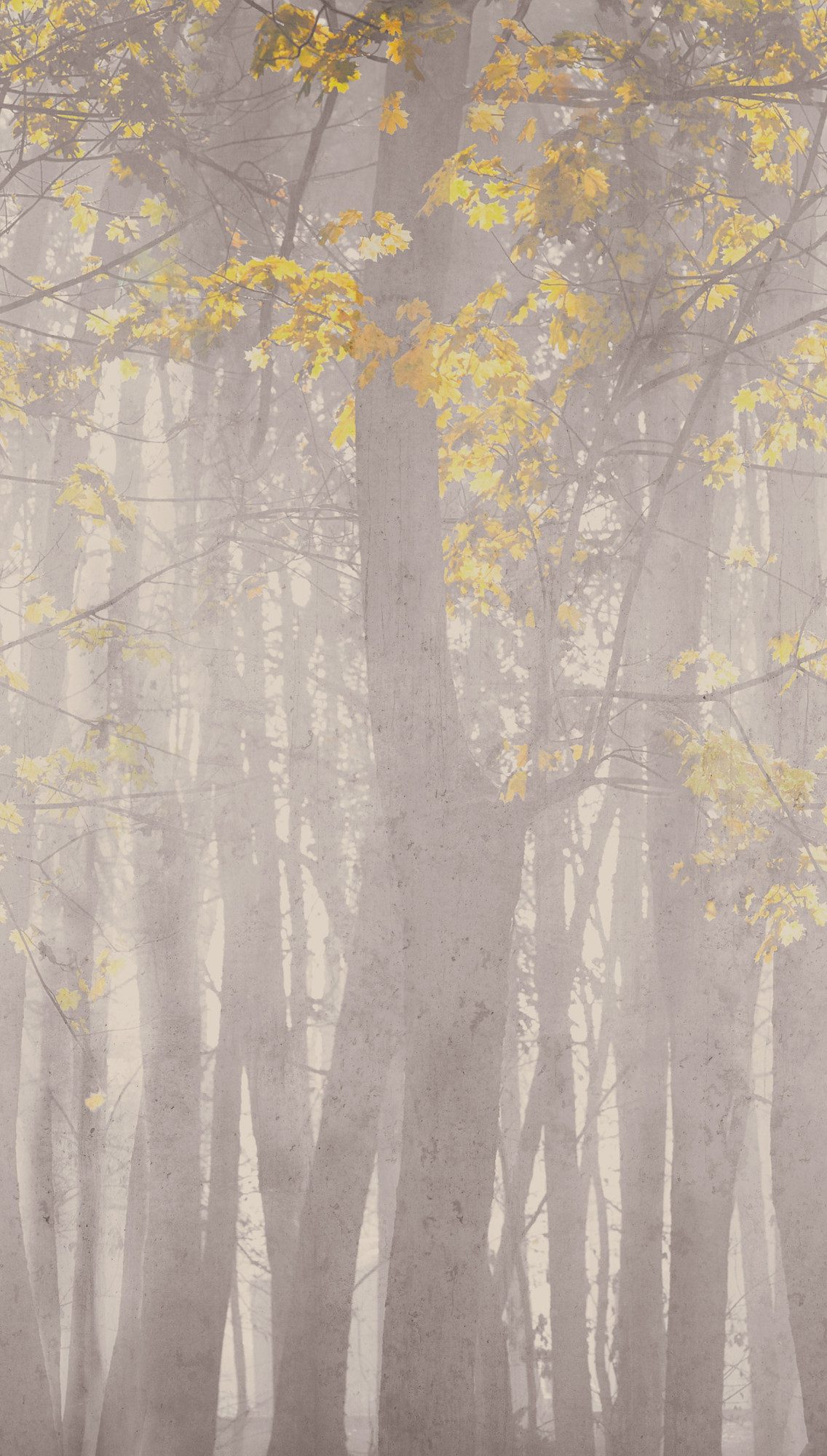 living walls Fototapete The Wall 4 Botanic – Atmosphärischer Wald Vlies-Fototapete, leicht strukturiert, matt, naturalistisch, Motiv, (1 St), Atmosphärischer Wald mit atmosphärischer Tiefe