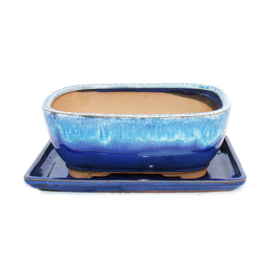 Exotenherz Pflanzschale Bonsai-Schale Unterteller Gr. 3 Blau-Beige rechteckig GB5 L 21,5cm (1 St)