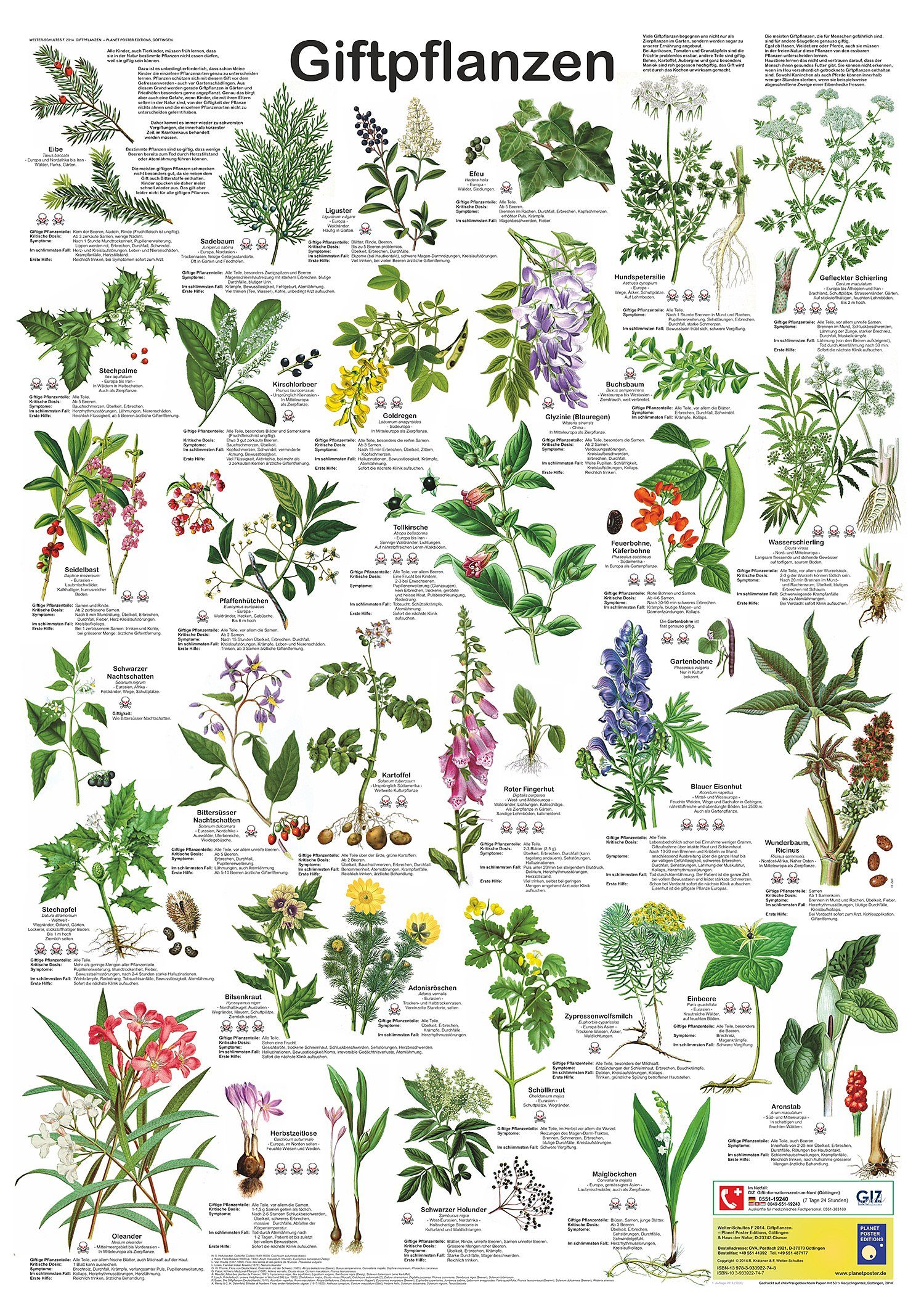 Close Up Poster Giftpflanzen Poster deutsch DIN A1 59,4 x 84,1 cm günstig online kaufen