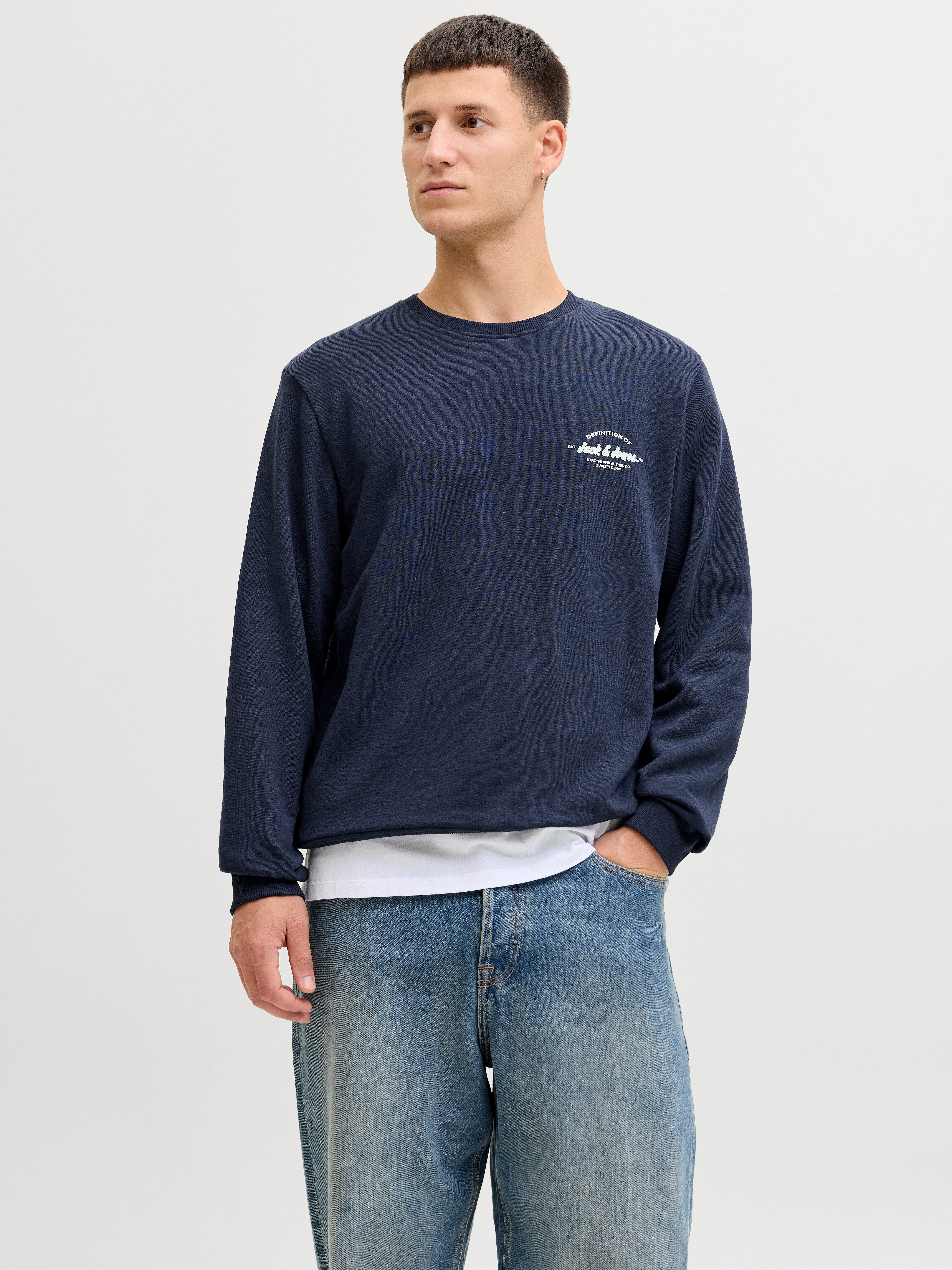 Jack & Jones Sweatshirt JJBRANDON SWEAT CREW NECK günstig online kaufen