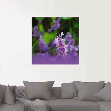 Artland Glasbild Lavendel, Blumen (1 St), in verschiedenen Größen