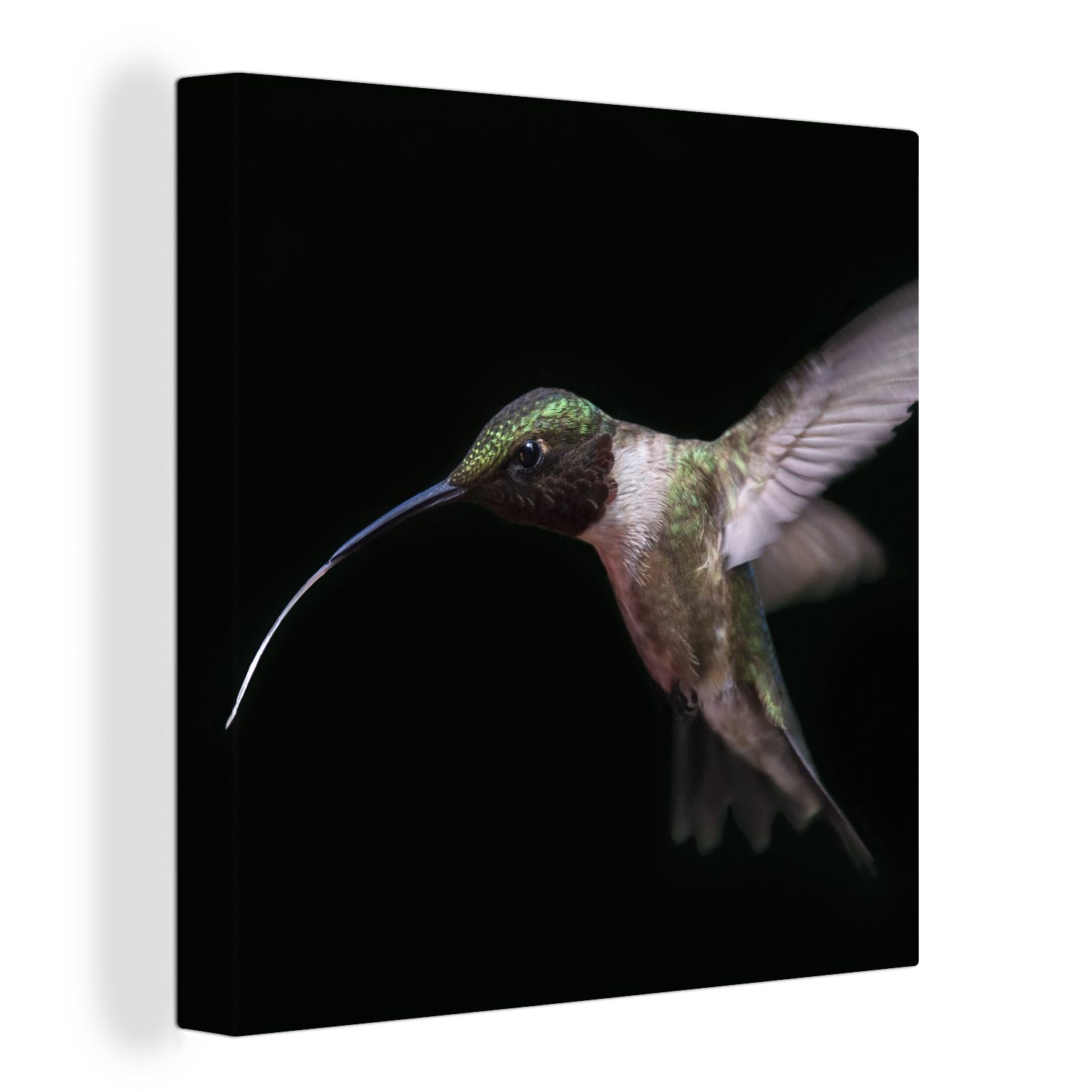 OneMillionCanvasses® Leinwandbild Kolibri - Vogel - Federn, (1 St), Leinwand Bilder für Wohnzimmer Schlafzimmer bunt