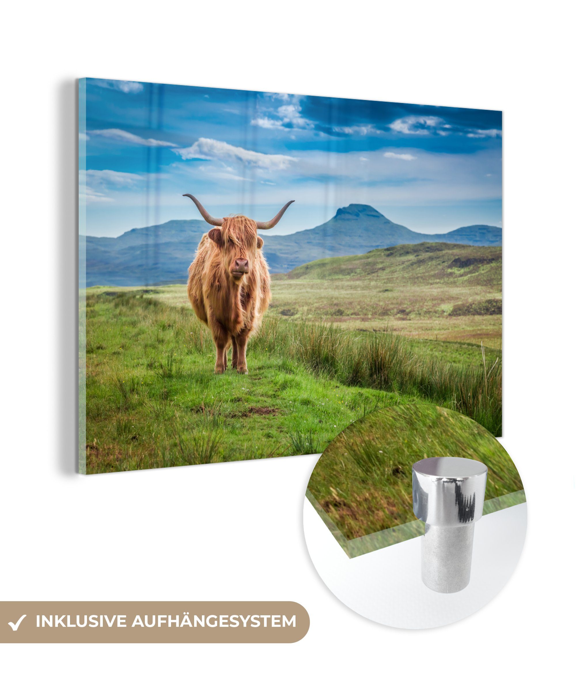 MuchoWow Acrylglasbild Kuh - Schlafzimmer Acrylglasbilder Schottland, Wohnzimmer - Landschaft St), & (1