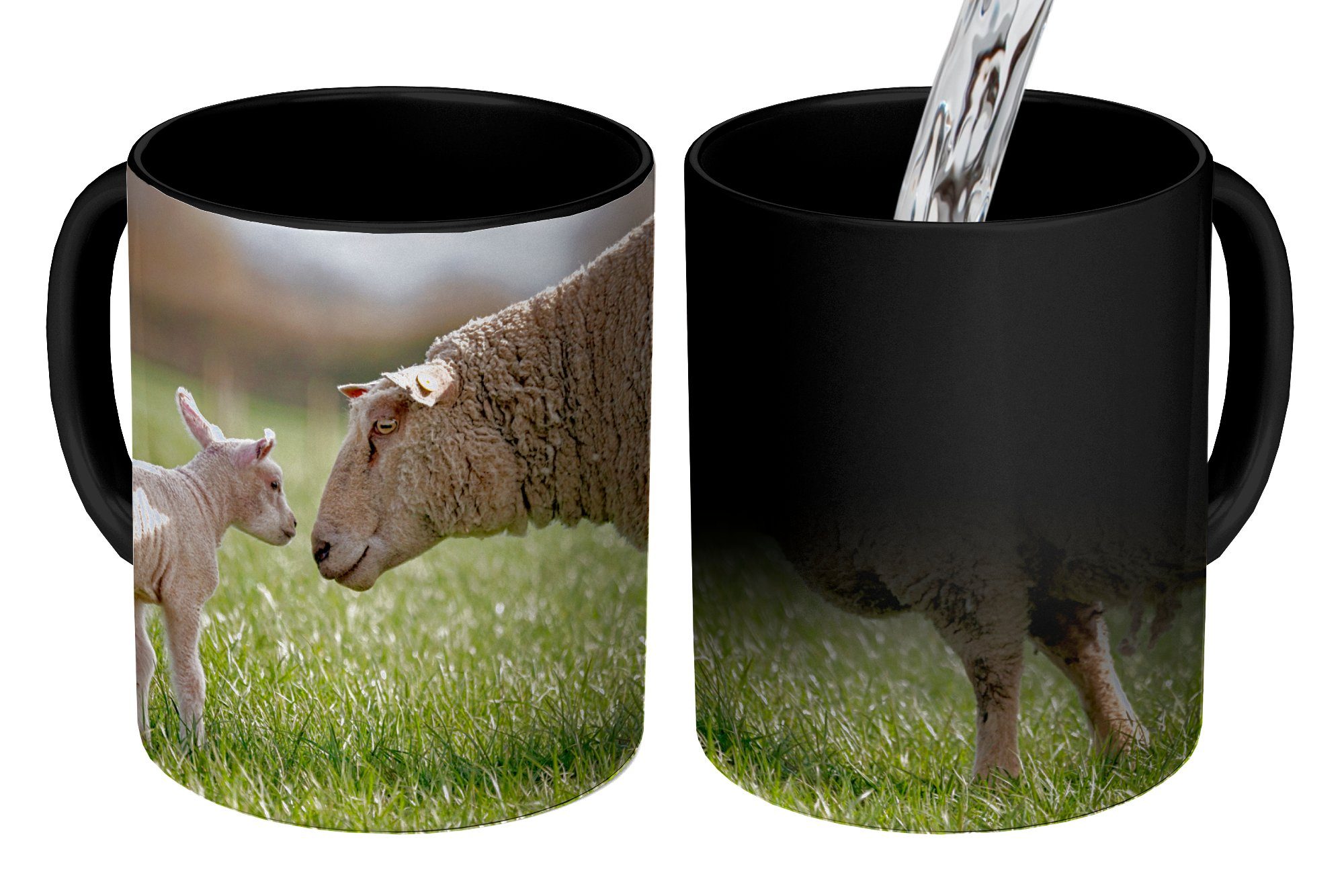 Zaubertasse, Teetasse, Geschenk - MuchoWow Gras Frühling, Tasse Schafe Keramik, - Kaffeetassen, Farbwechsel,