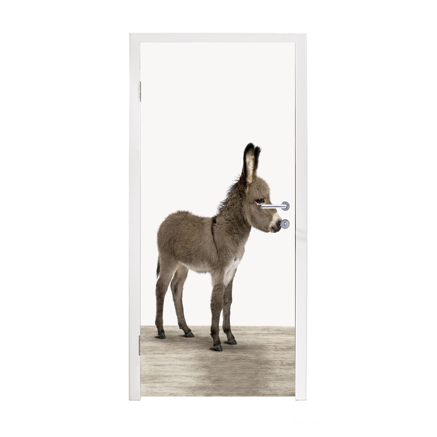 Tür, MuchoWow Matt, - Türaufkleber, Esel - Fototapete cm bedruckt, - Niedlich Kinder Mädchen Türtapete Tiere - für - Jungen, St), 75x205 (1