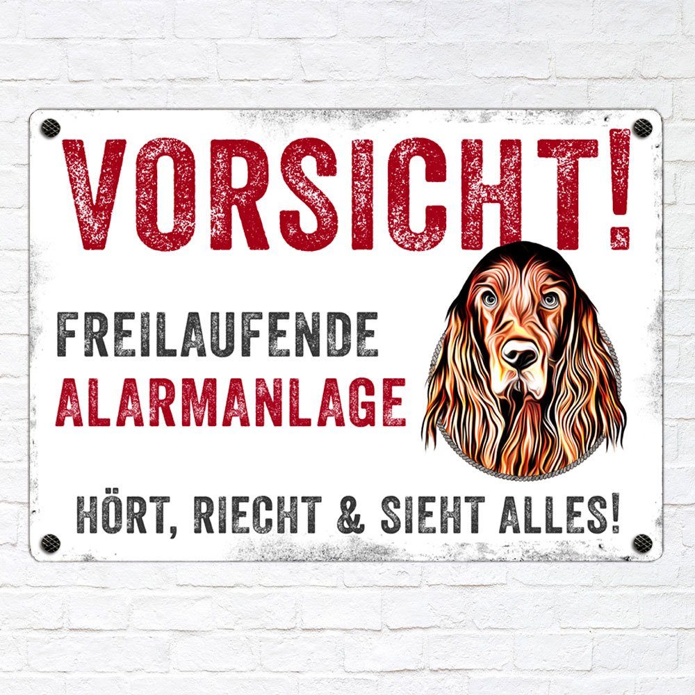 Thumbnail - Cadouri Warnschild Hundewarnschild IRISH SETTER - Hinweisschild mit Hunderasse, (Metallschild mit vier vorgebohrten Löch...