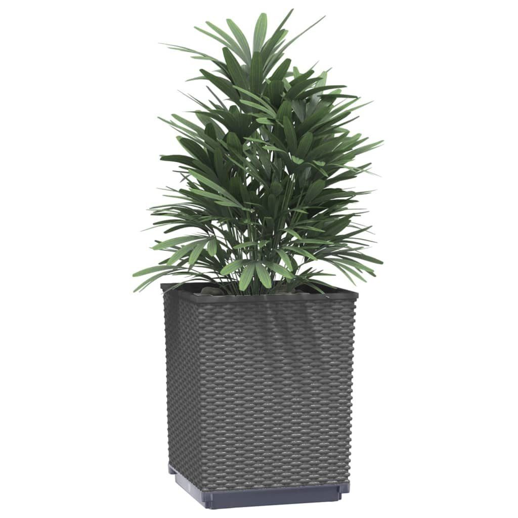 Thumbnail - vidaXL Blumentopf Pflanzkübel 4 Stk. Schwarz 30x30x37 cm Polypropylen (4 St)
