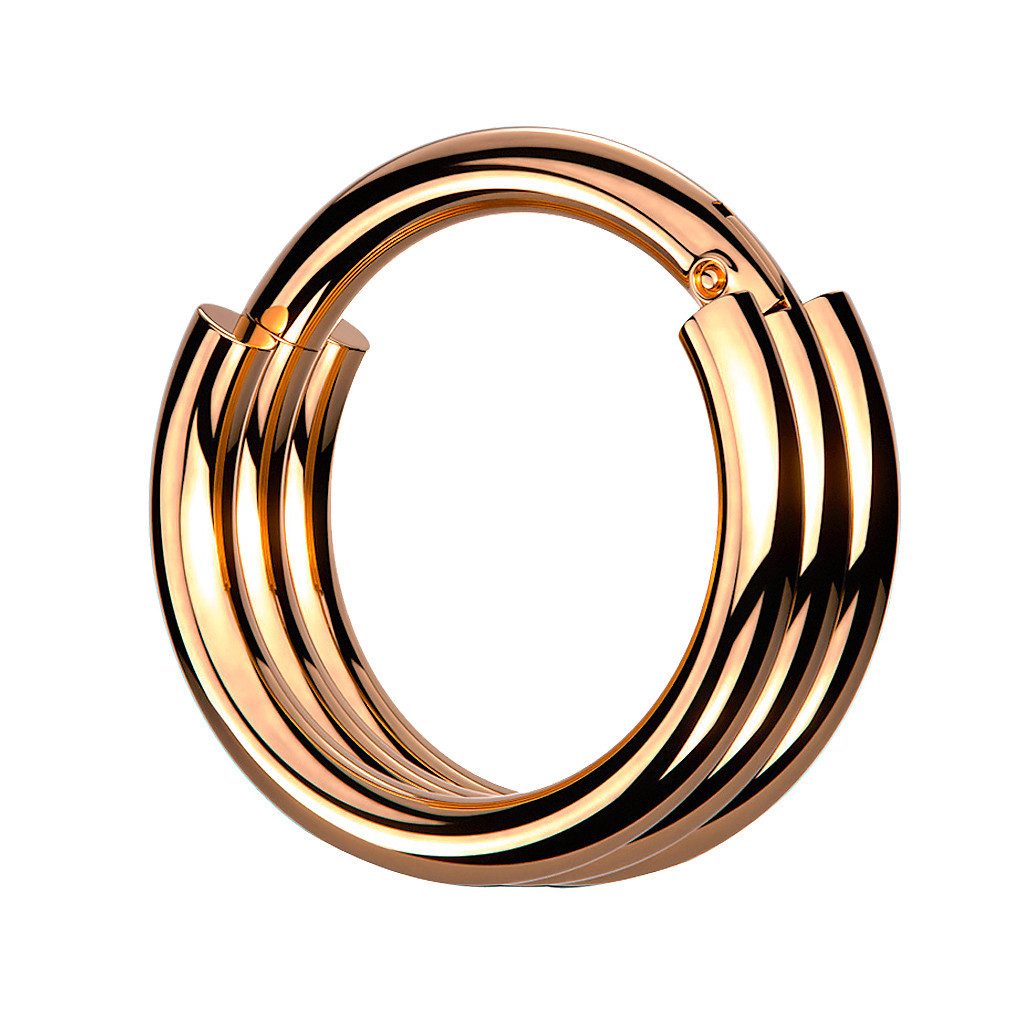Taffstyle Nasenpiercing Septum Piercing Segment Ring günstig online kaufen