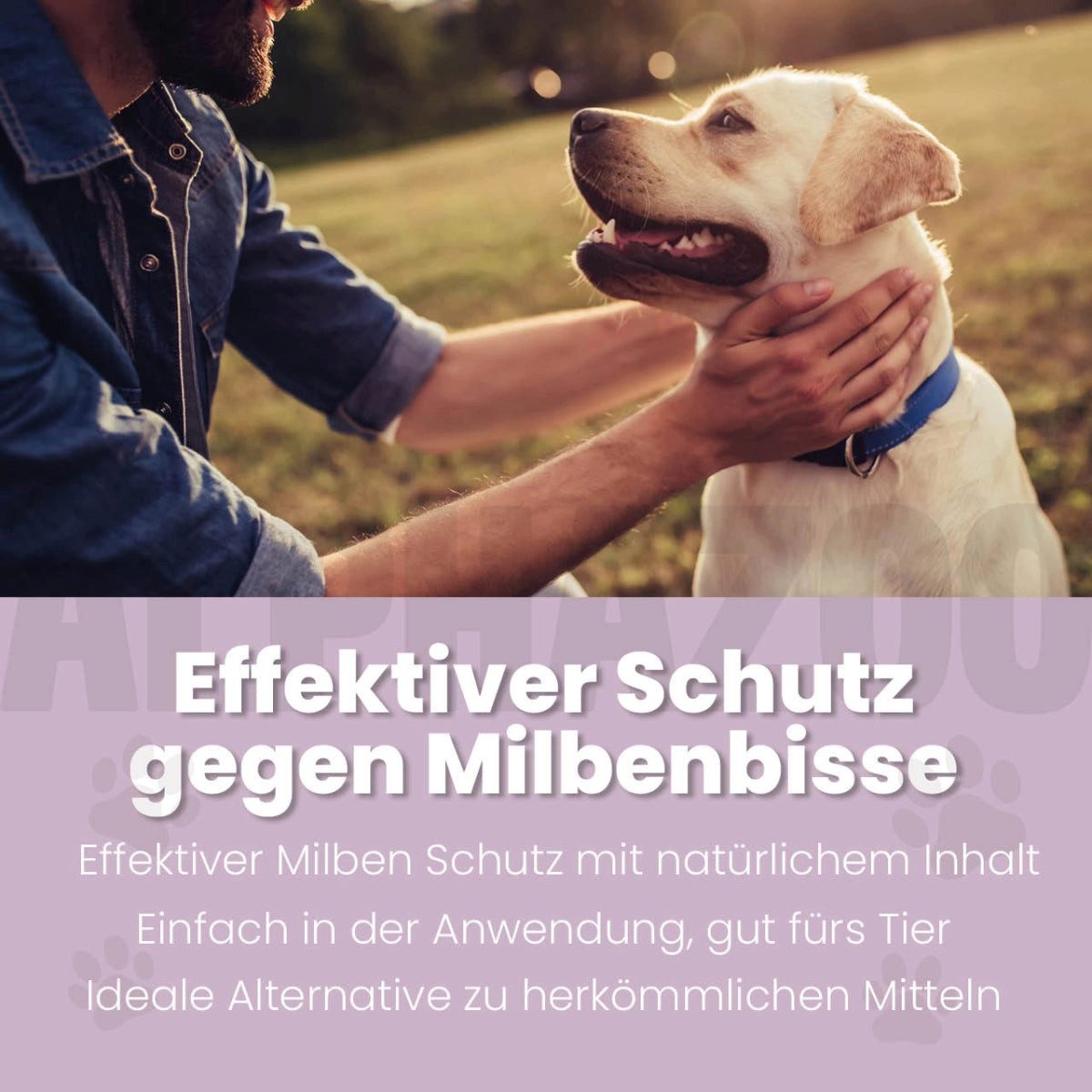 ALPHAZOO Milbenspray MilbHunter Milbenspray für Hunde 100ml, 100 ml, 1-St., Milbenabwehr beim Hund, bei Milbenbissen beim Hund und Fellpflege