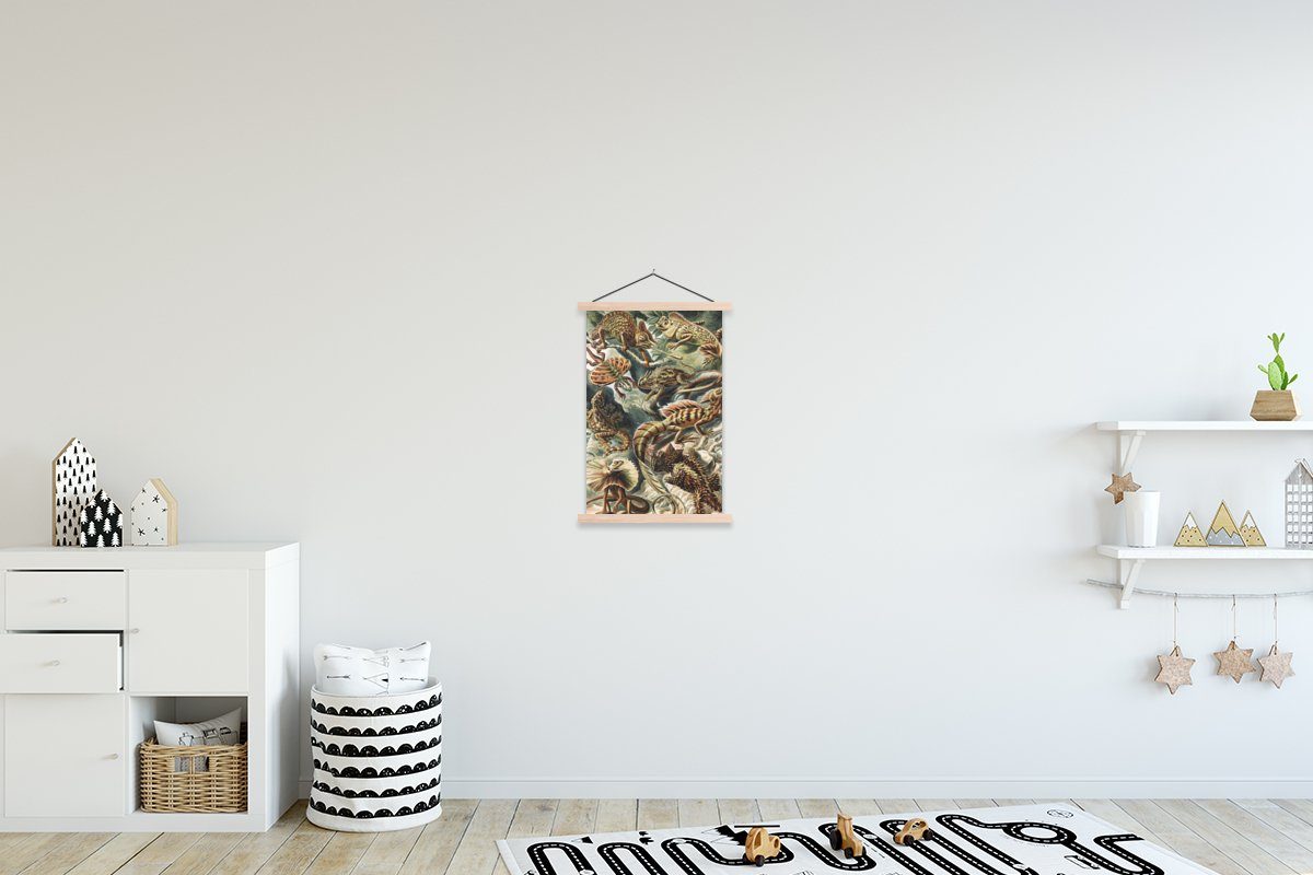 MuchoWow Poster Jahrgang - Kunst - Ernst Haeckel - Salamander - Tiere, (1 St), Posterleiste, Textilposter für Wohnzimmer, Bilderleiste, Magnetisch braun | braun
