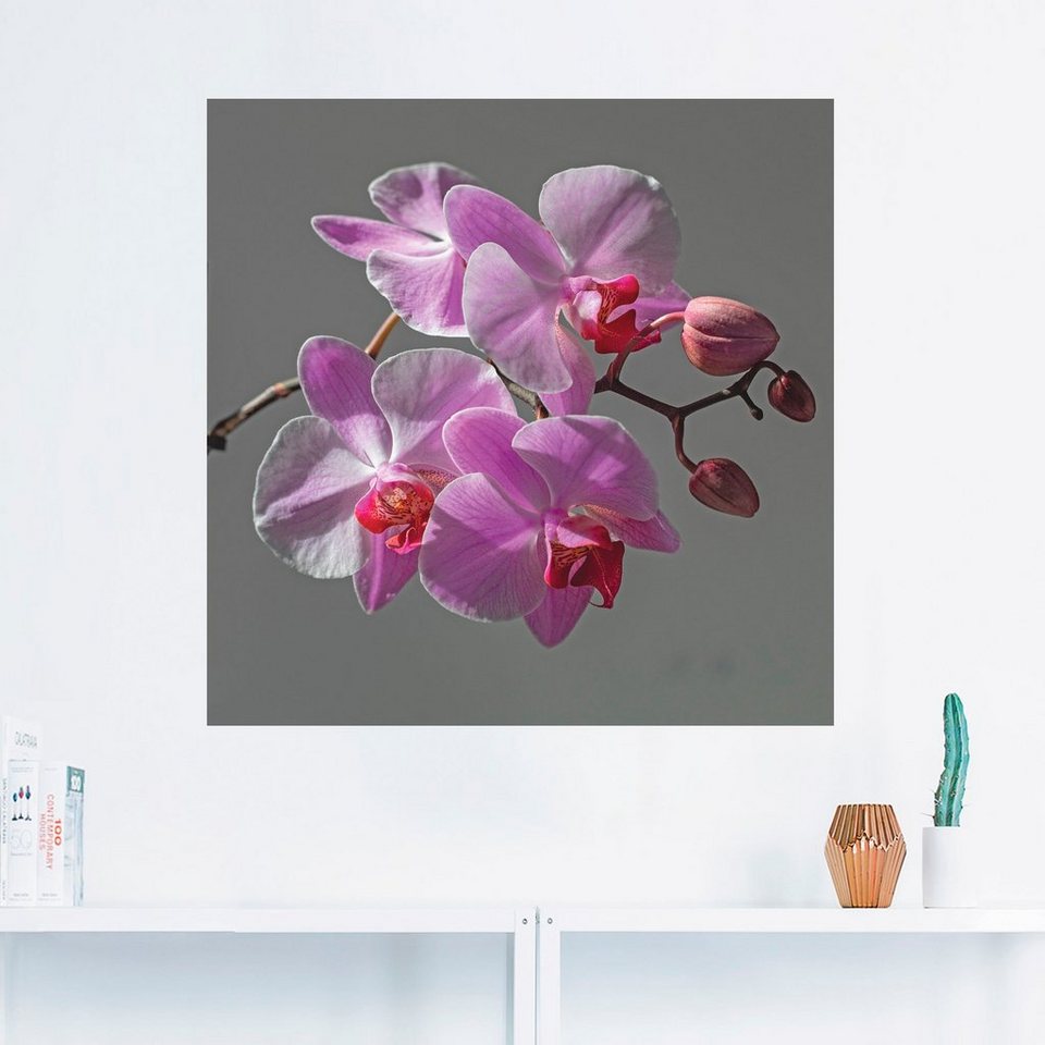 Wandbild Größen (1 Blumen Orchideentraum, Alubild, als Wandaufkleber Leinwandbild, oder versch. St), Artland Poster in