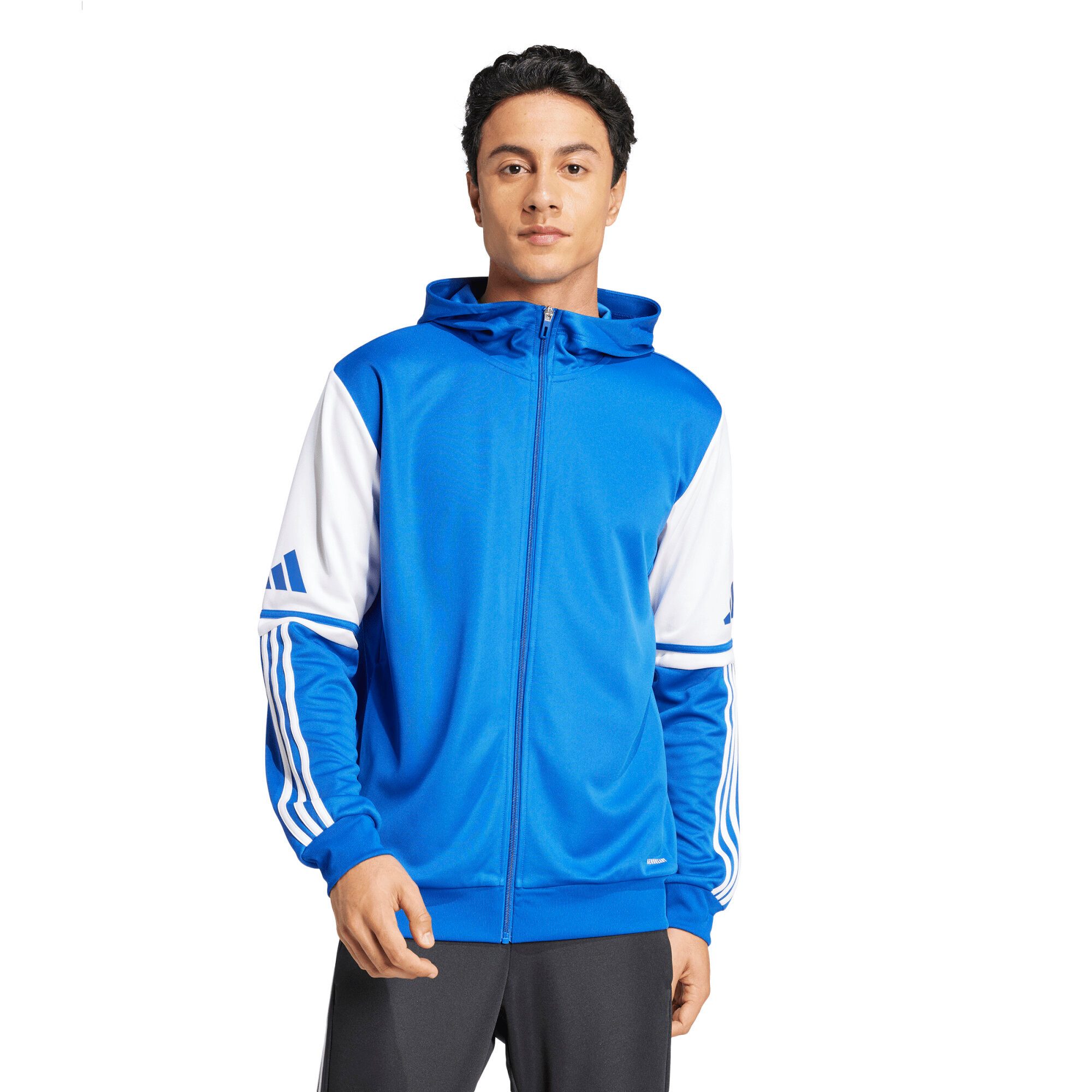 adidas Performance Trainingsjacke adidas Herren Kapuzenjacke günstig online kaufen