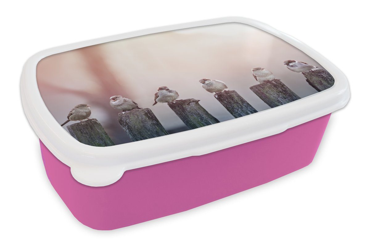 MuchoWow Lunchbox Vögel - Spatzen - Pfähle - Holz, Kunststoff, (2-tlg), Brotbox für Erwachsene, Brotdose Kinder, Snackbox, Mädchen, Kunststoff rosa