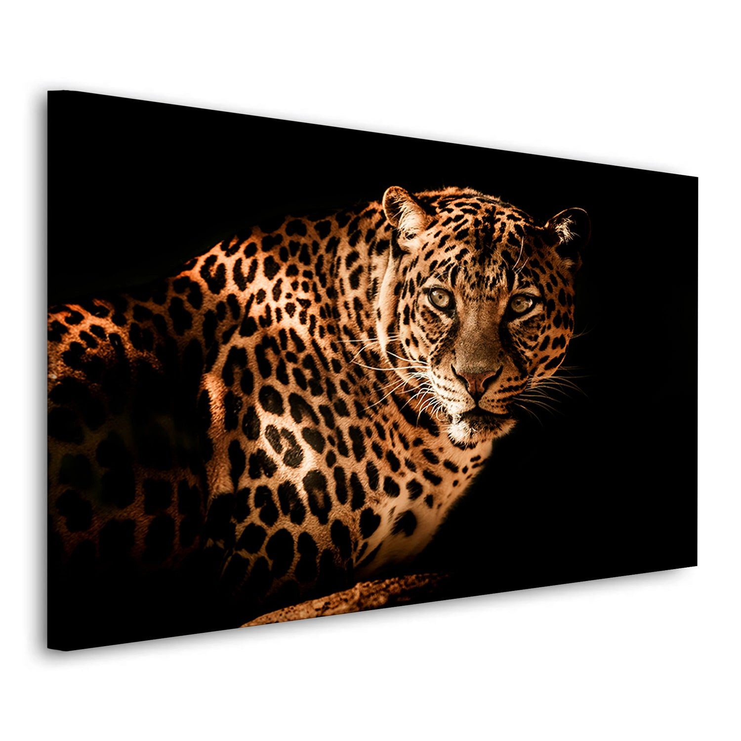 Artedinoi Leinwandbild Leopard Black Tiere Wandbild Leinwandbild Kunst XL, Leopard in Schwarz