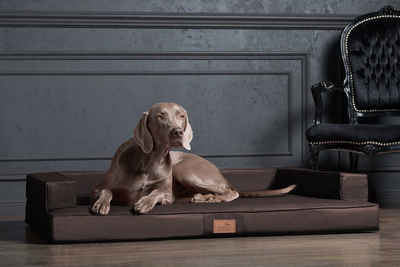 tierlando® Tierbett tierlando® Orthopädisches Design Hundesofa GIBSON VISCO Kunstleder kub