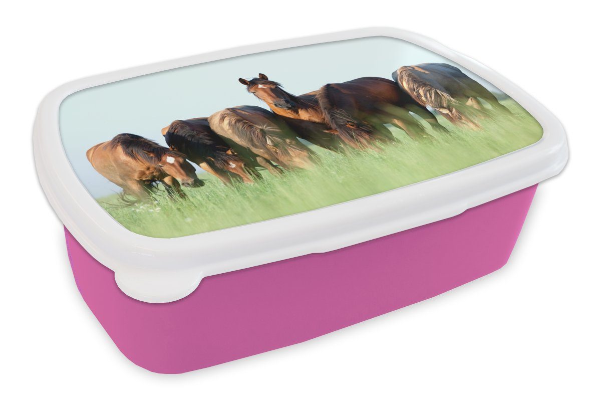 MuchoWow Lunchbox Pferde - Tiere - Gras - Sommer, Kunststoff, (2-tlg), Brotbox für Erwachsene, Brotdose Kinder, Snackbox, Mädchen, Kunststoff rosa